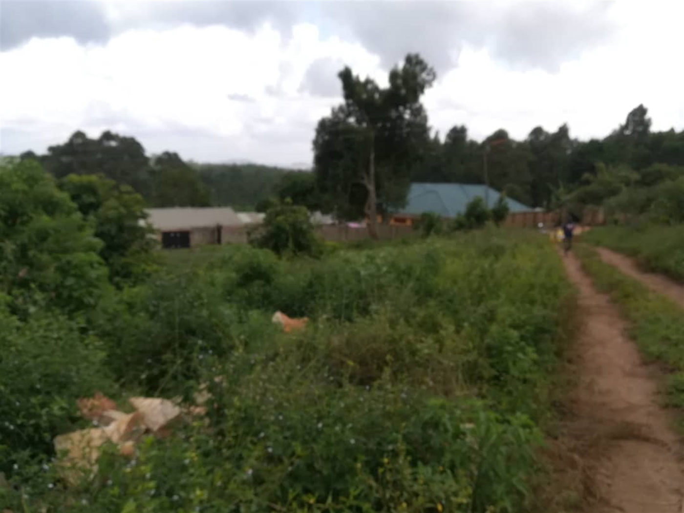 Residential Land for sale in Naama Mukono