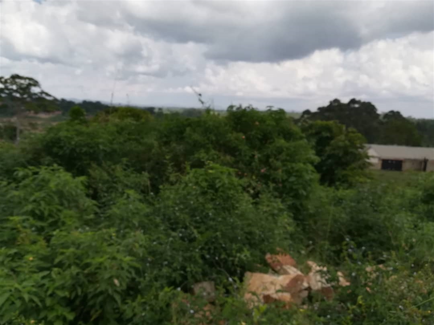 Residential Land for sale in Naama Mukono