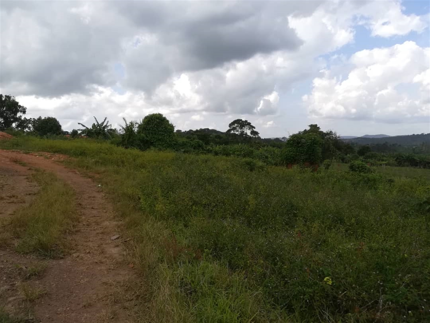 Residential Land for sale in Naama Mukono