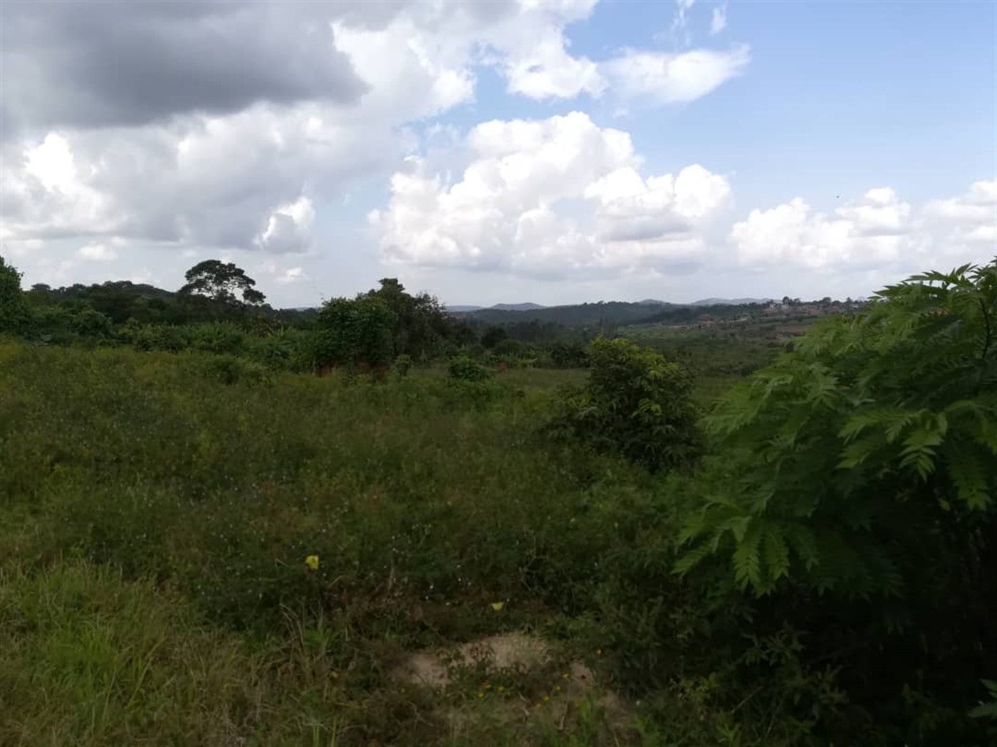 Residential Land for sale in Naama Mukono