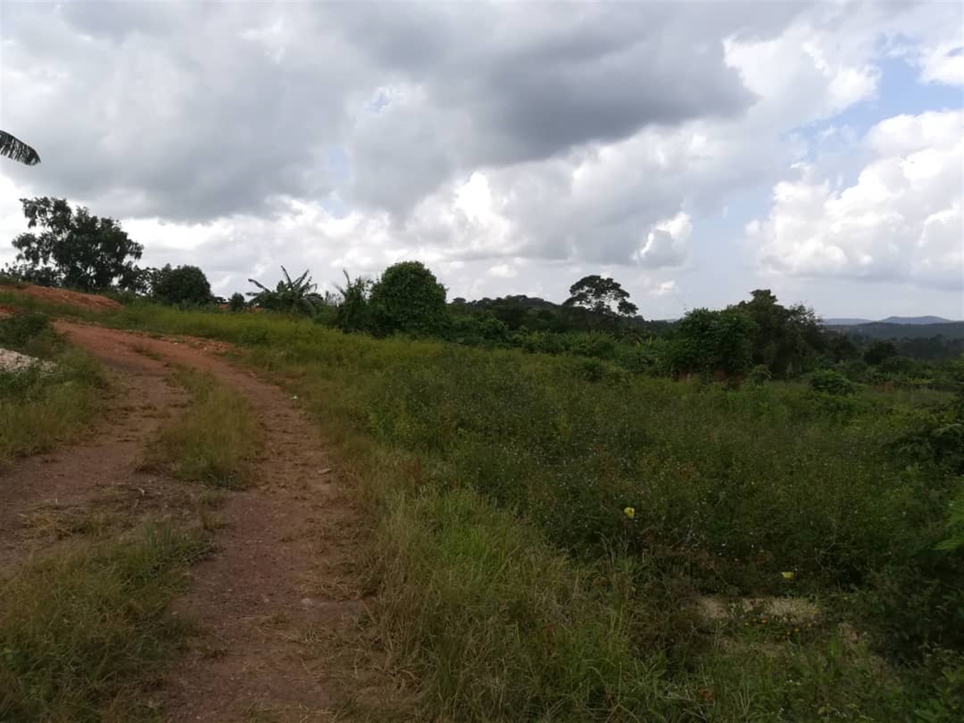 Residential Land for sale in Naama Mukono