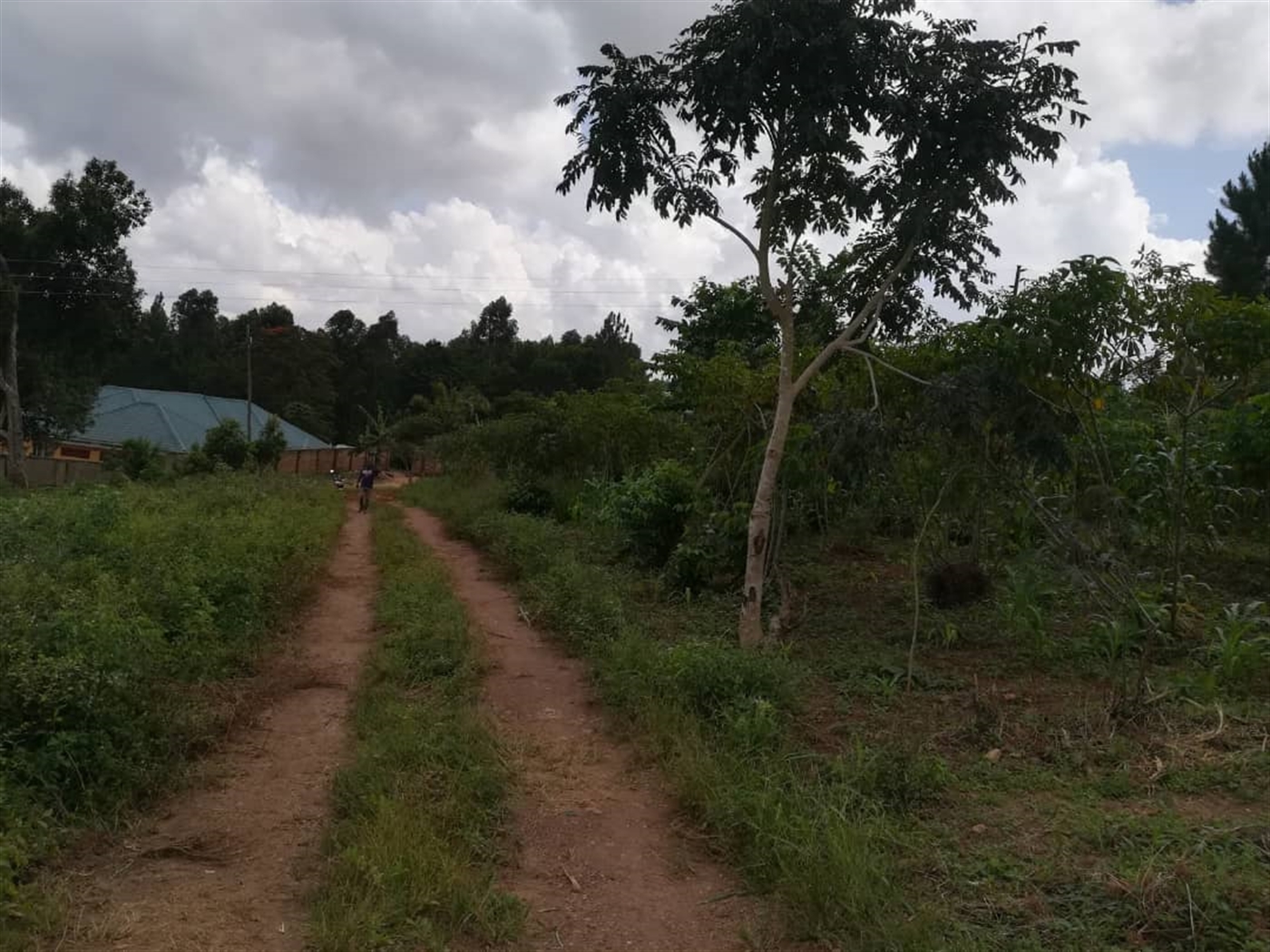 Residential Land for sale in Naama Mukono