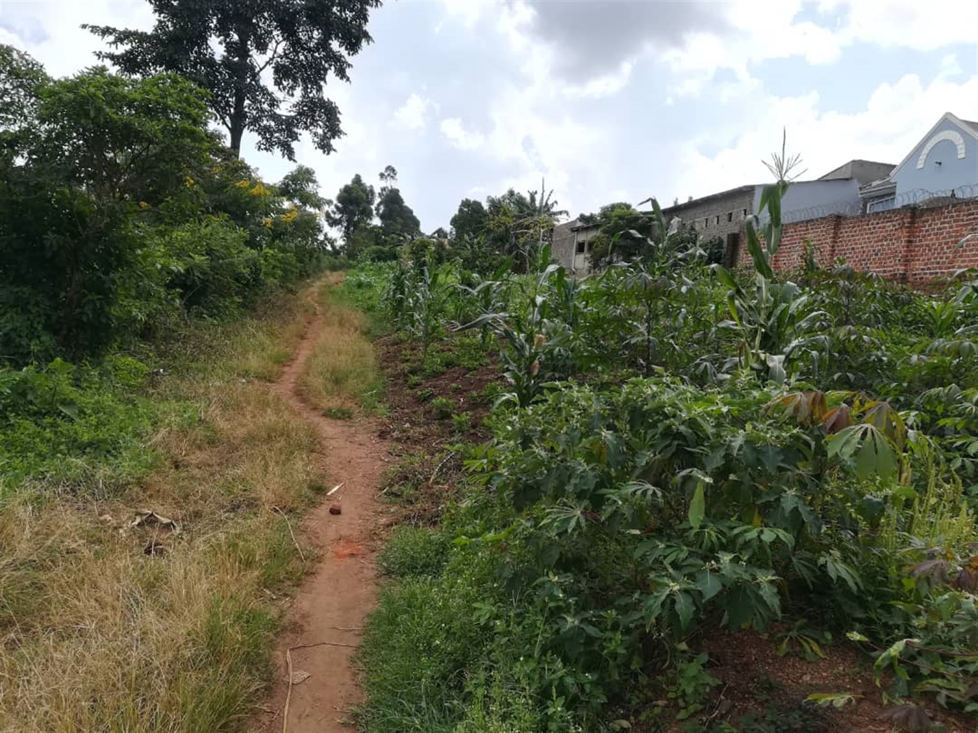 Residential Land for sale in Naama Mukono