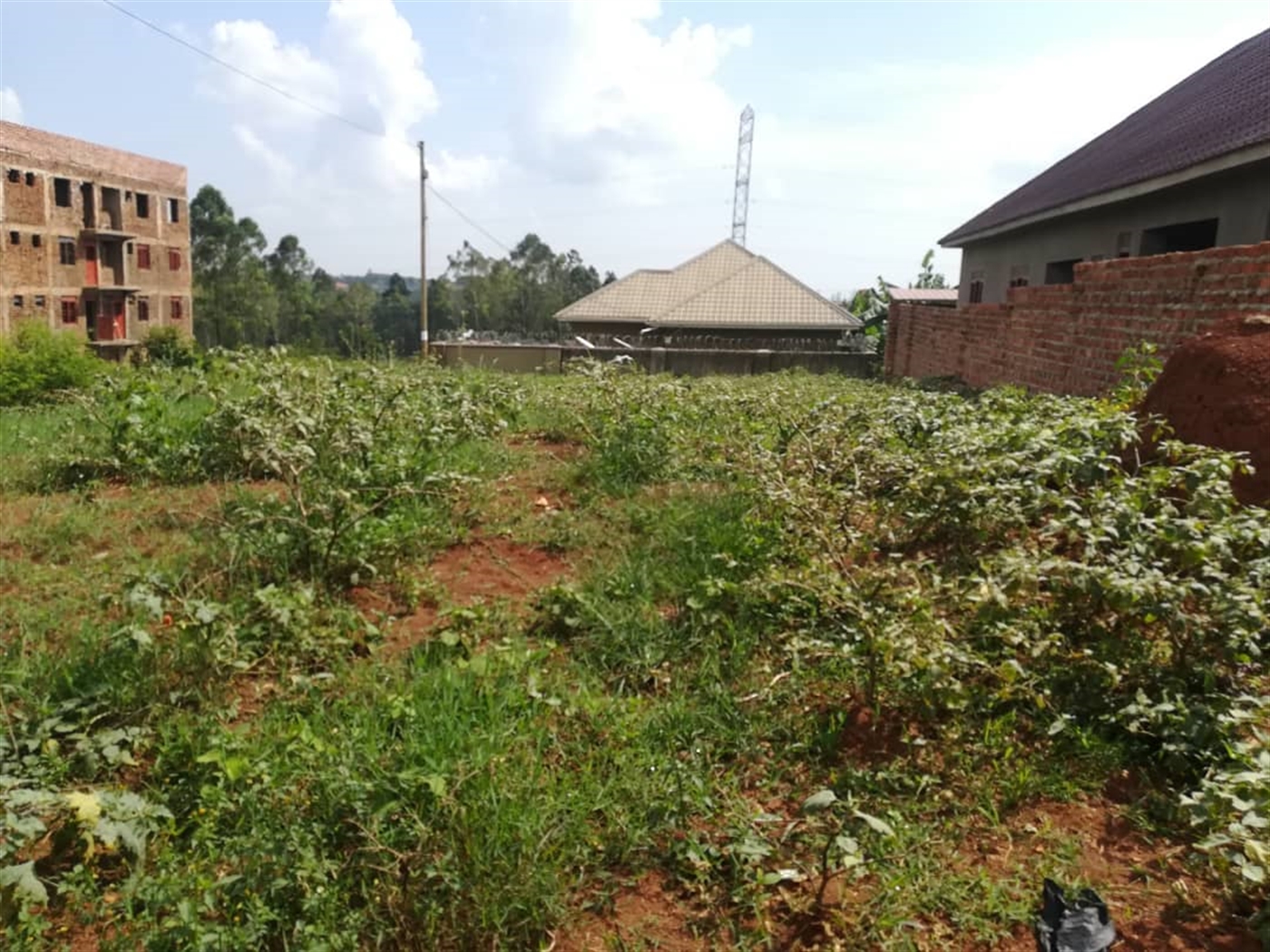 Residential Land for sale in Naama Mukono