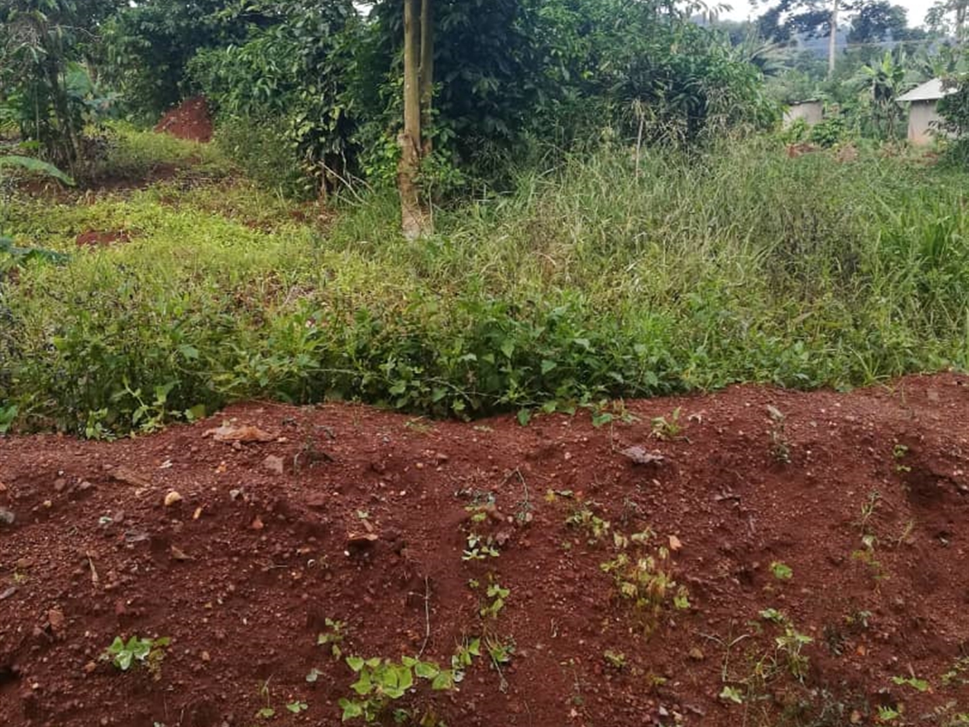 Residential Land for sale in Naama Mukono