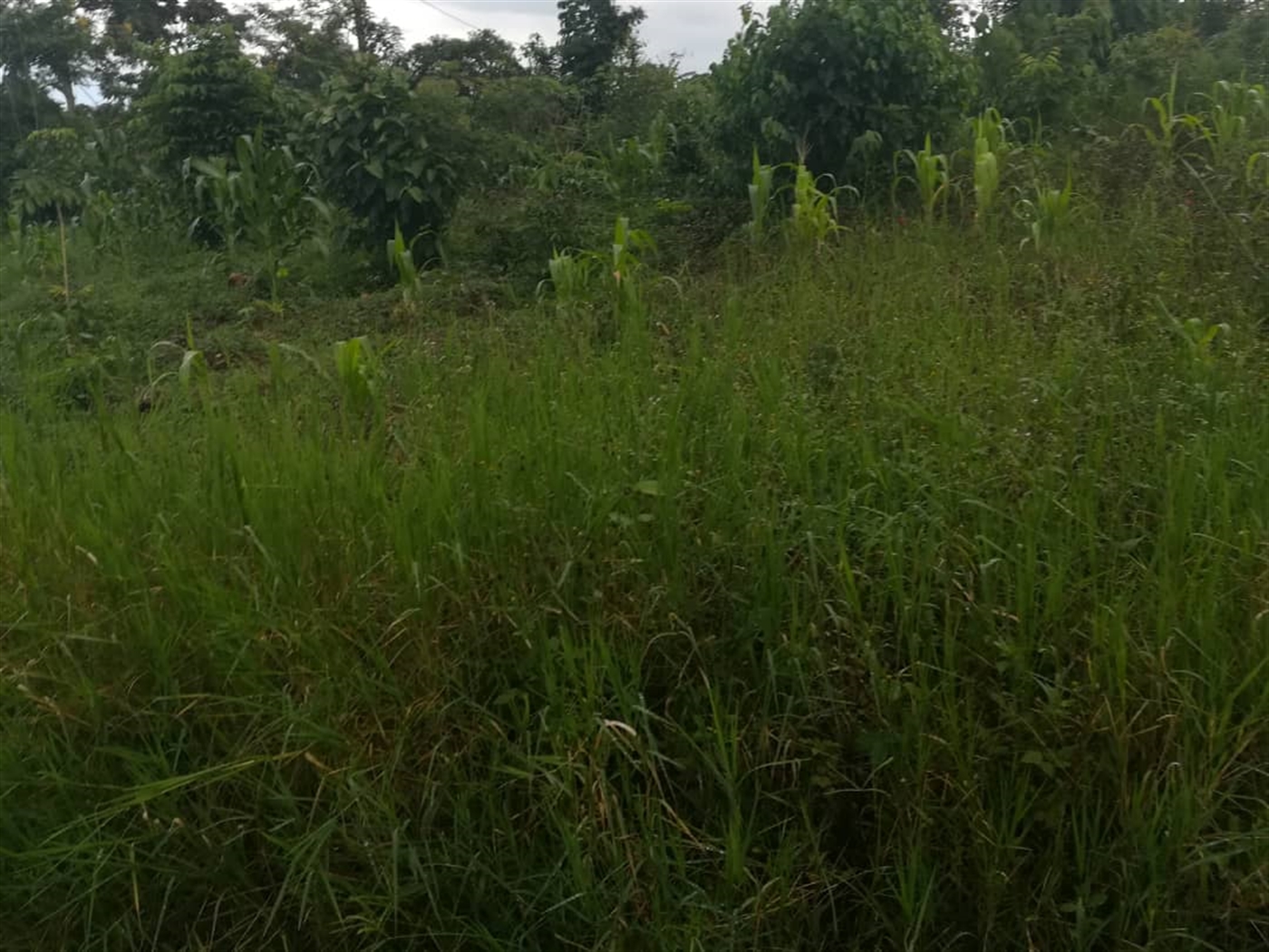 Residential Land for sale in Naama Mukono