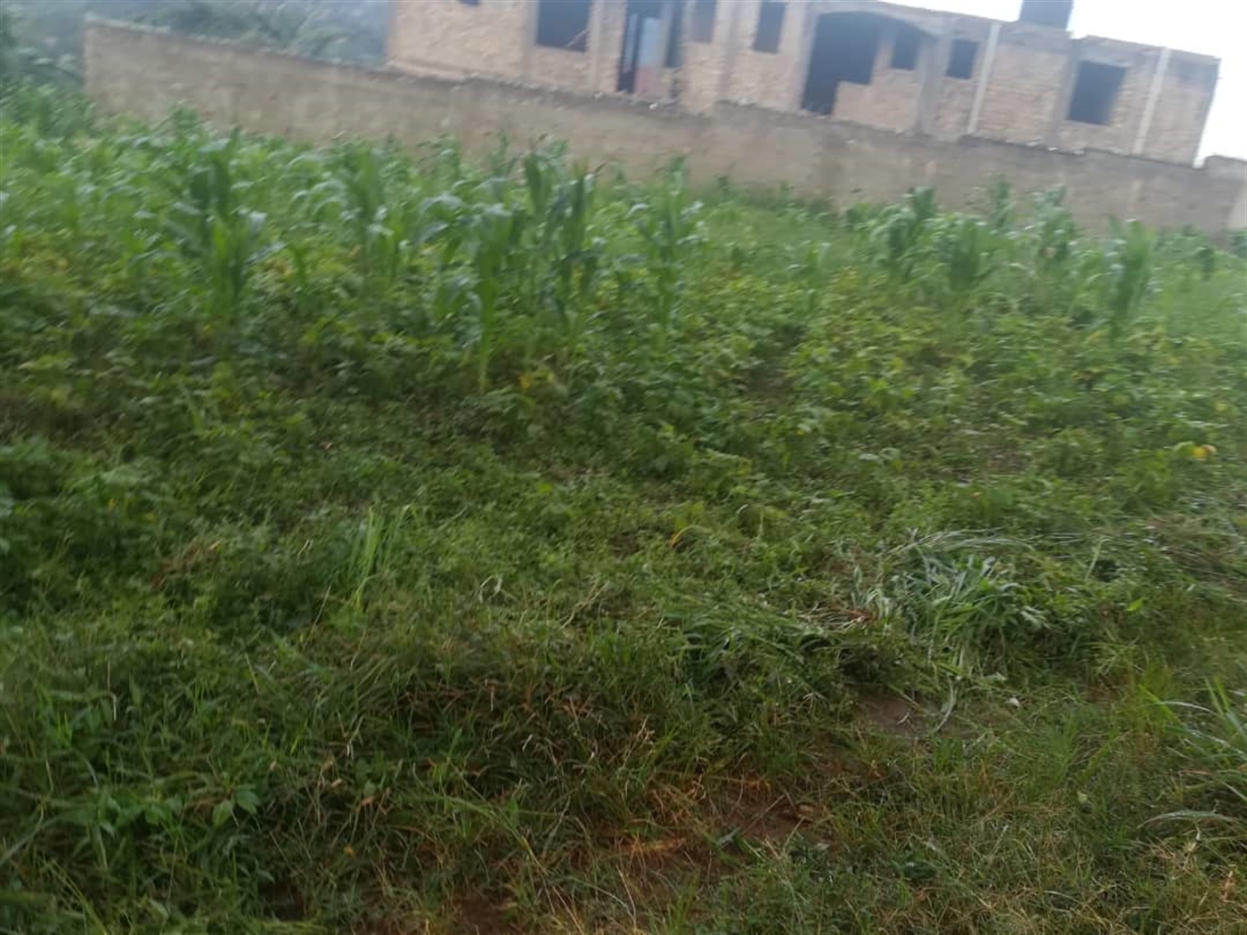 Residential Land for sale in Naama Mukono