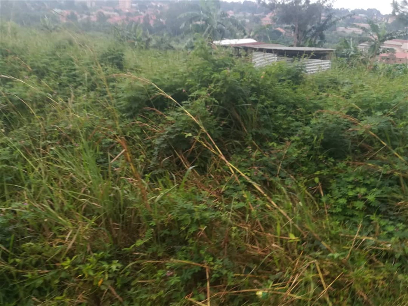 Residential Land for sale in Namubiru Mukono