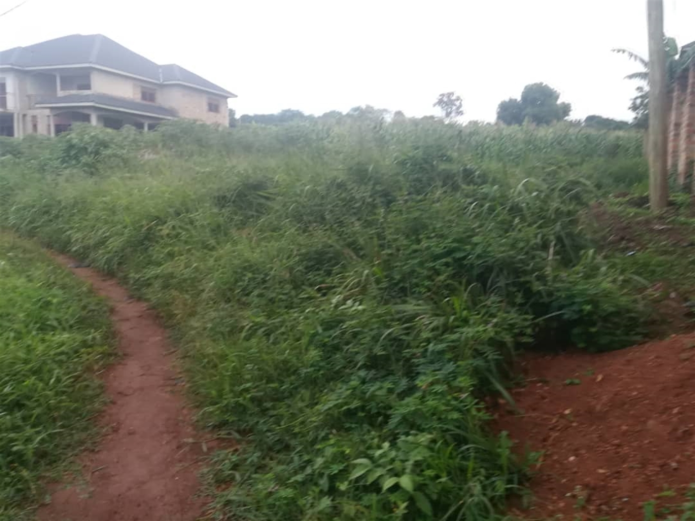 Residential Land for sale in Namubiru Mukono