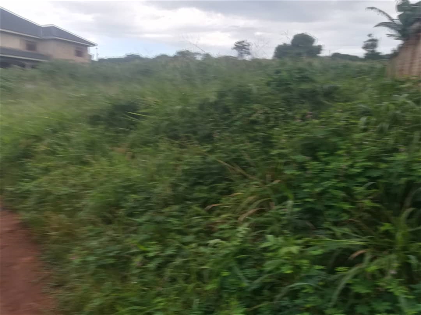 Residential Land for sale in Namubiru Mukono