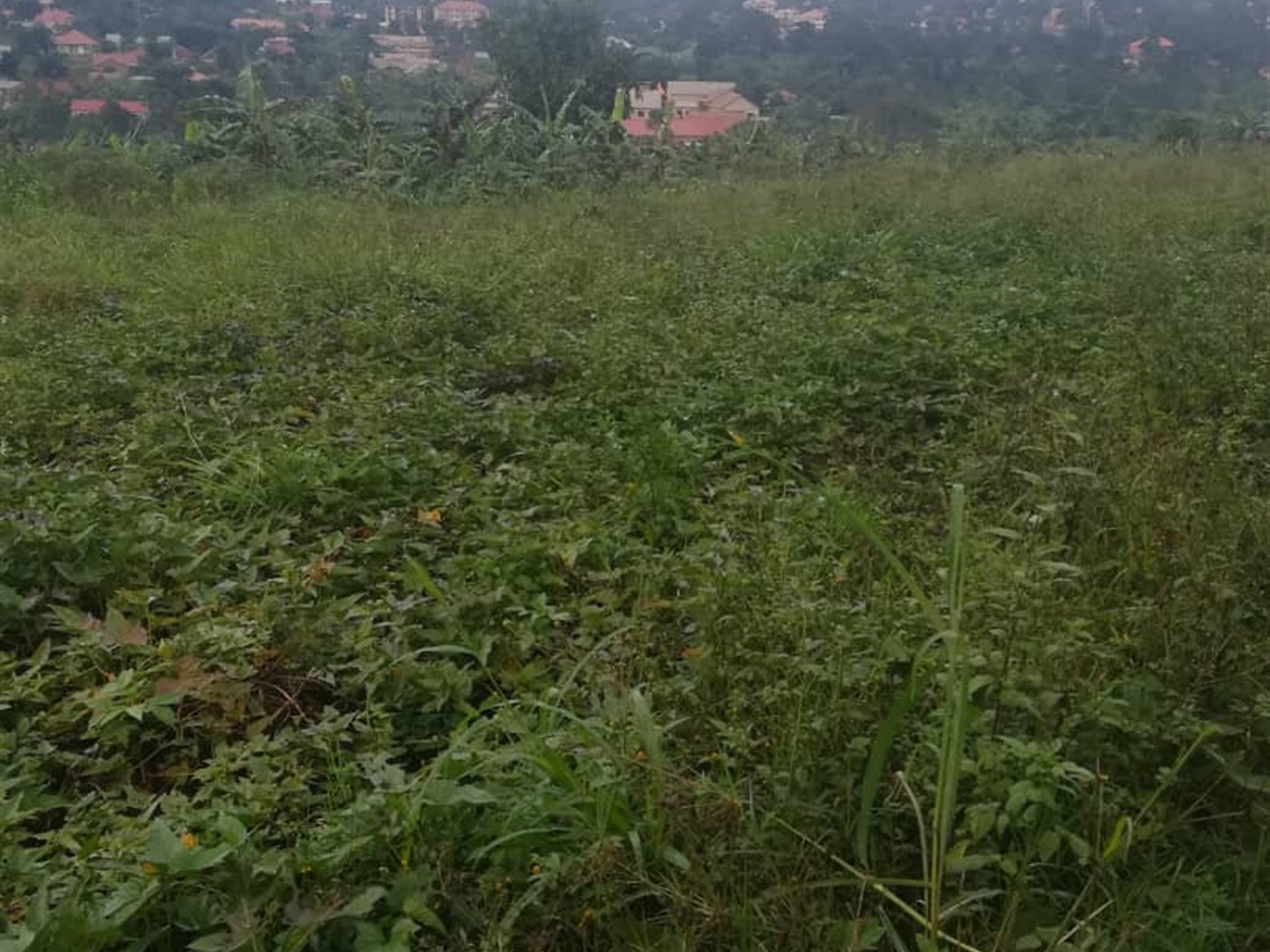 Residential Land for sale in Namubiru Mukono