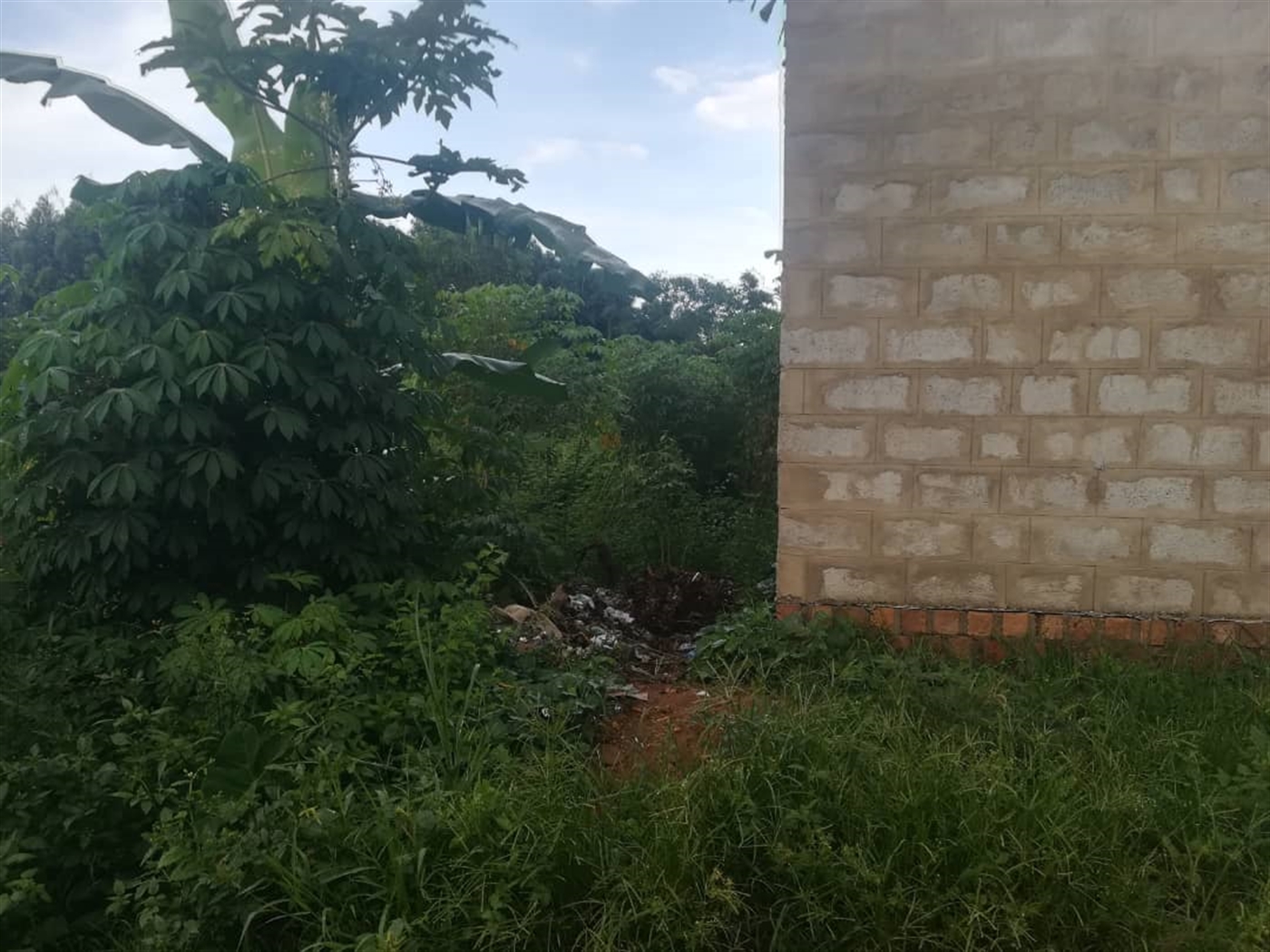 Residential Land for sale in Namubiru Mukono