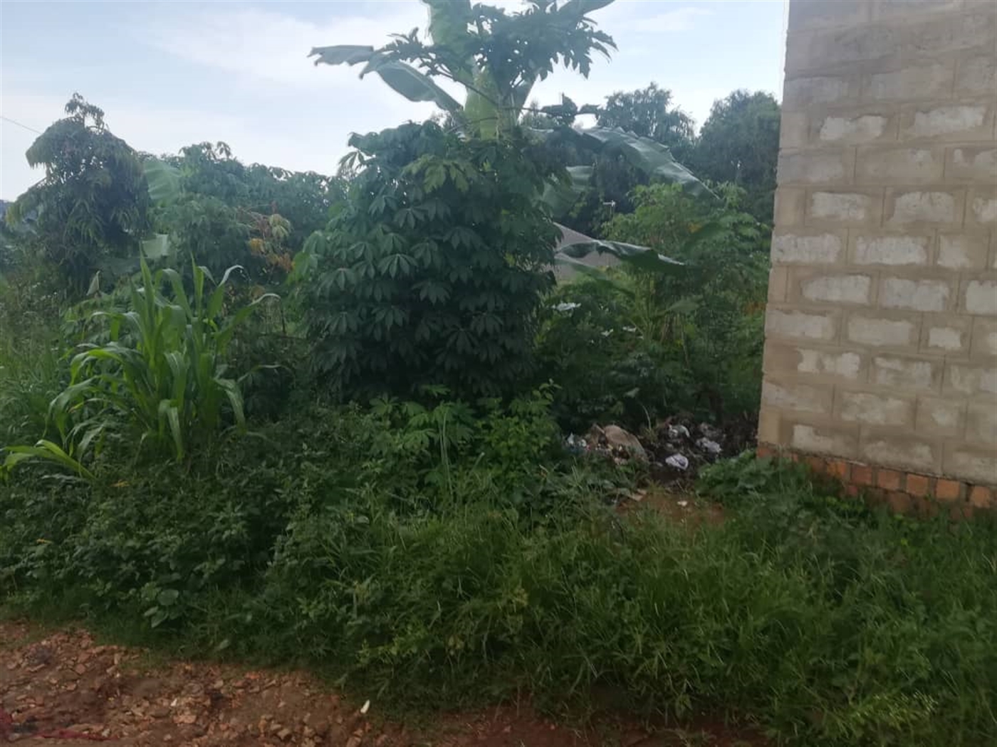 Residential Land for sale in Namubiru Mukono