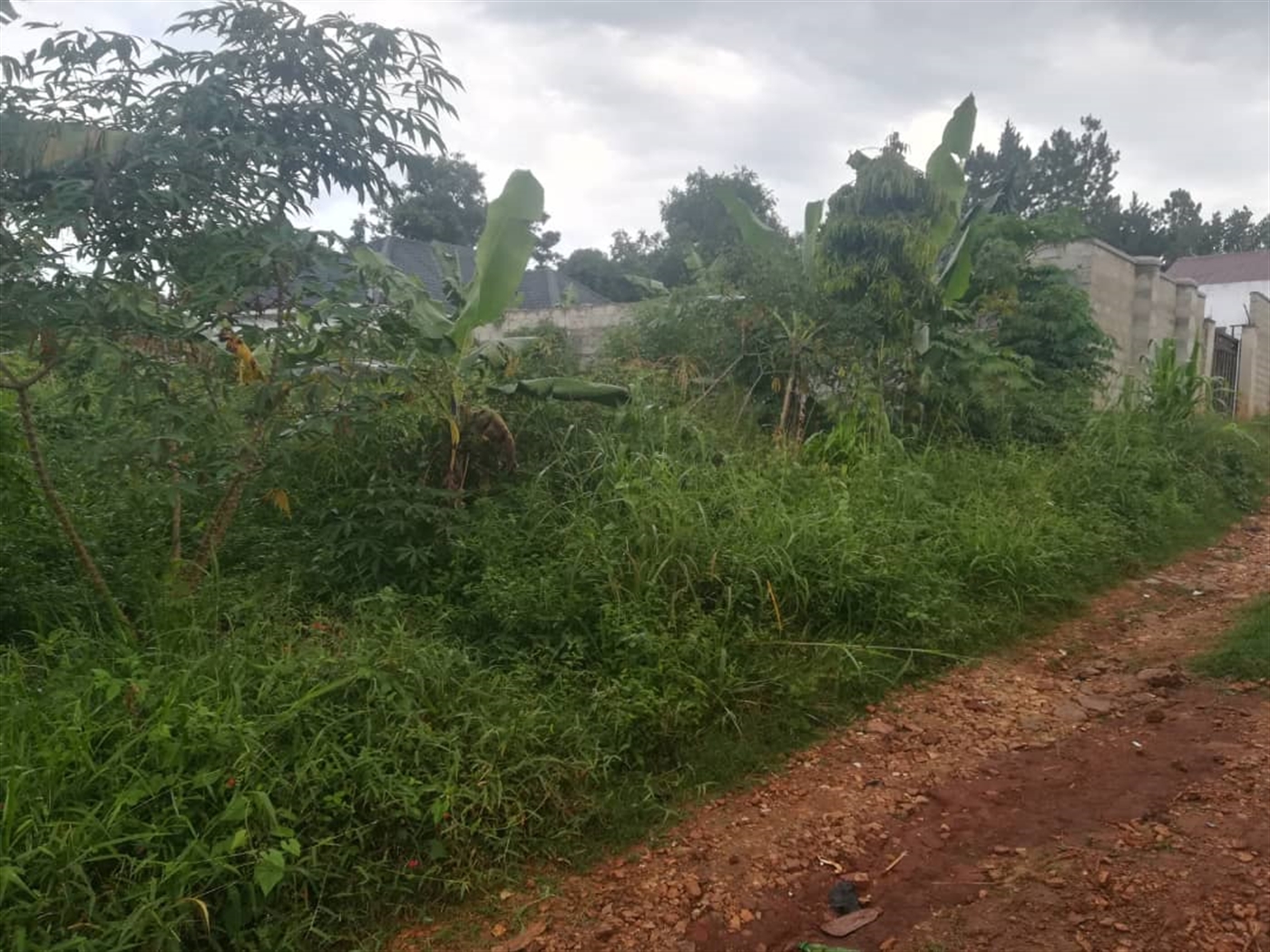 Residential Land for sale in Namubiru Mukono