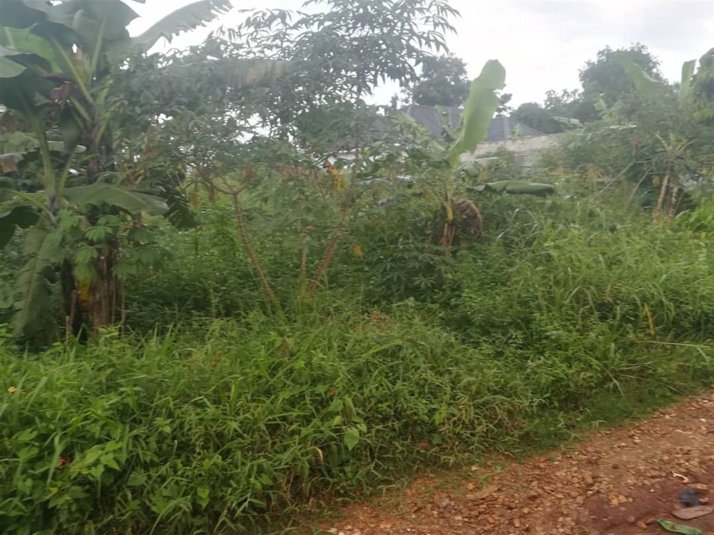 Residential Land for sale in Namubiru Mukono