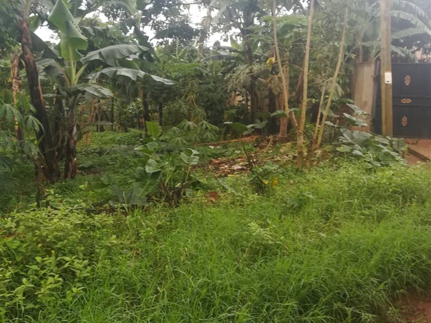 Residential Land for sale in Namubiru Mukono