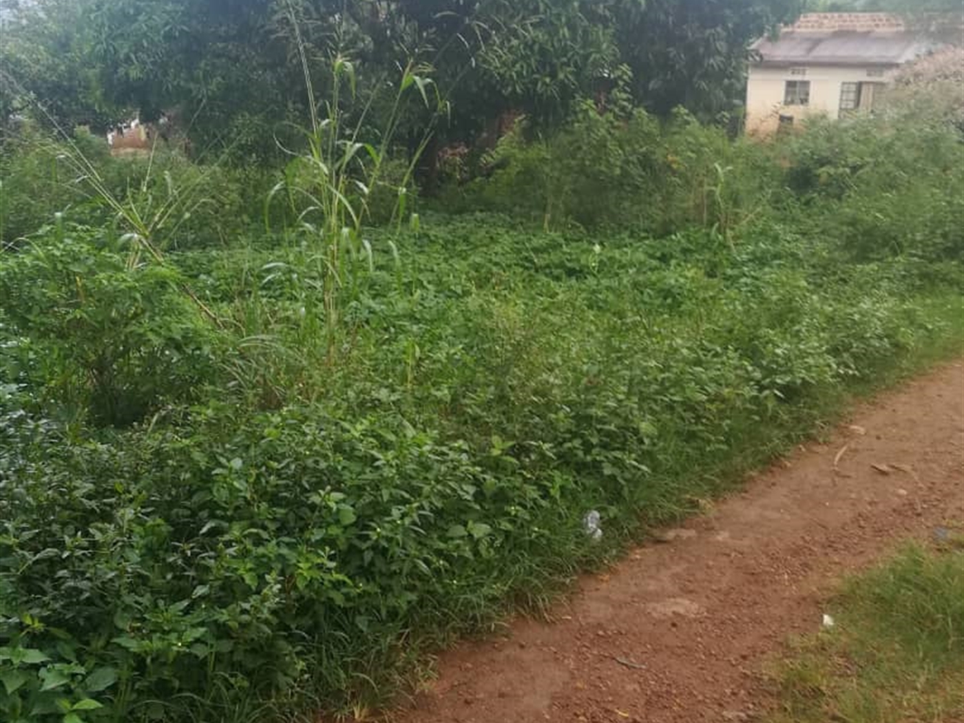 Residential Land for sale in Namubiru Mukono