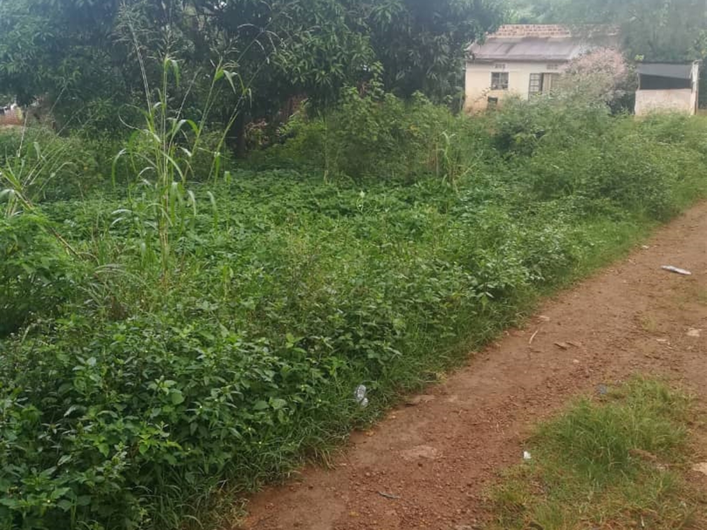 Residential Land for sale in Namubiru Mukono