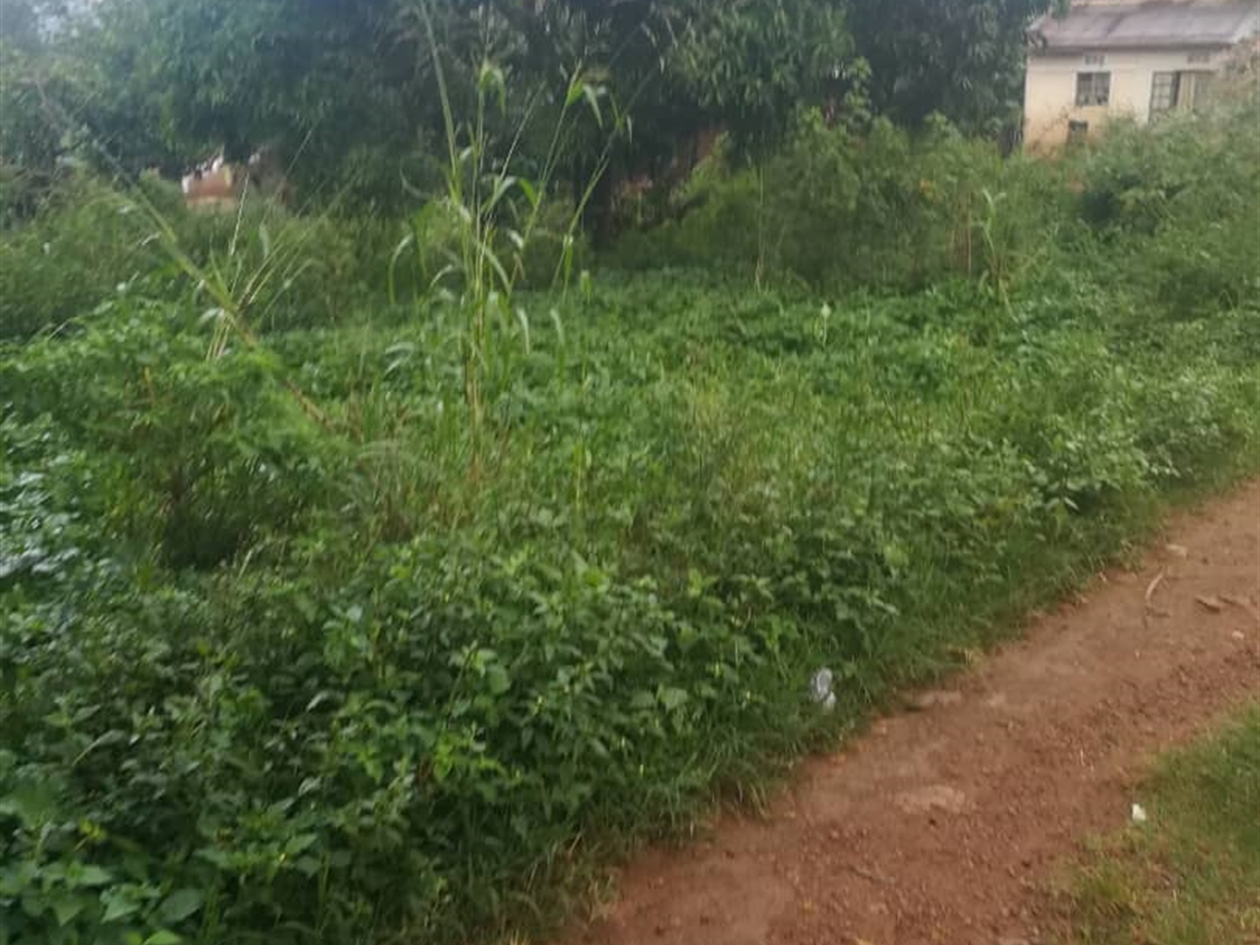 Residential Land for sale in Namubiru Mukono