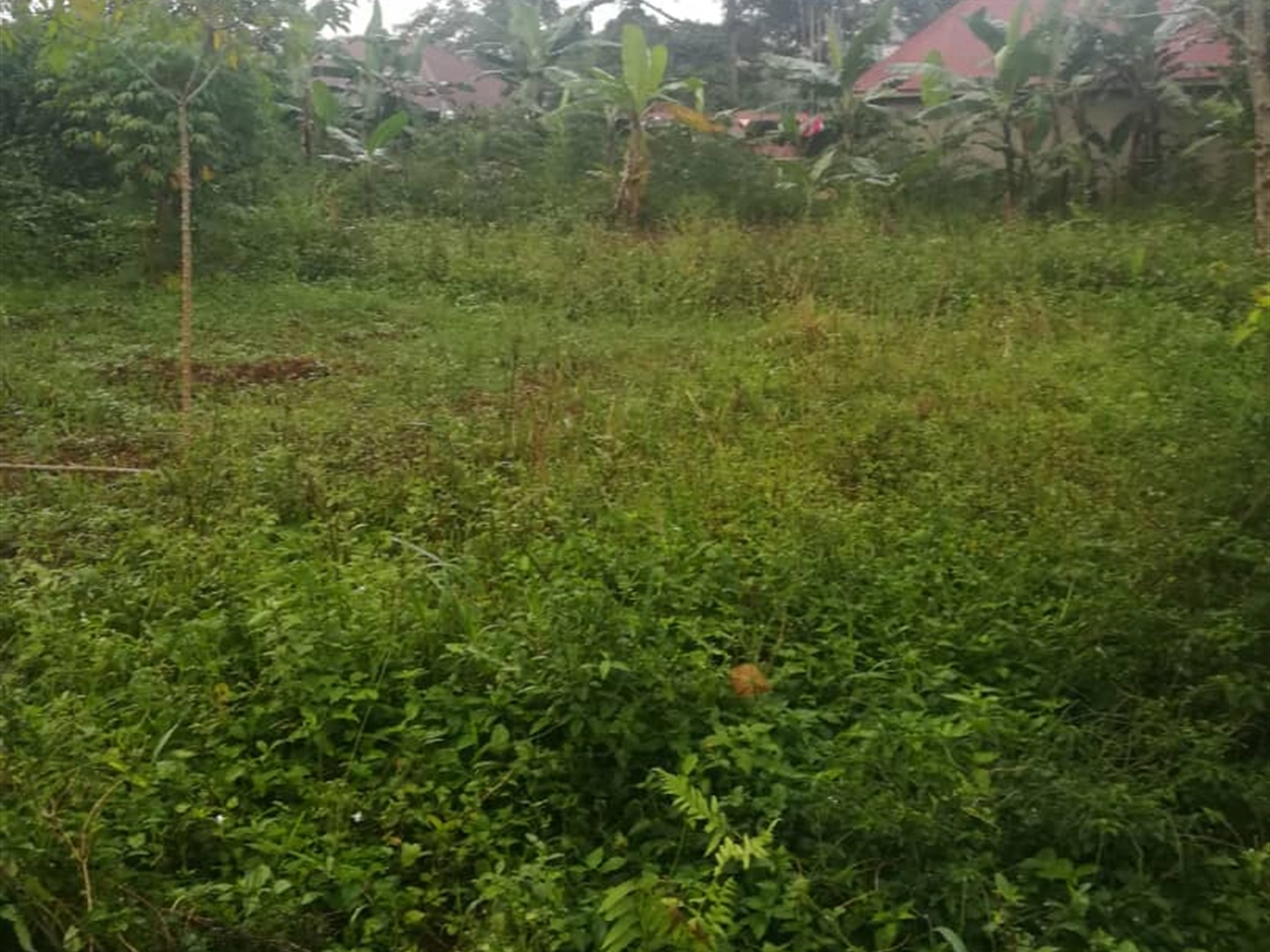 Residential Land for sale in Namubiru Mukono