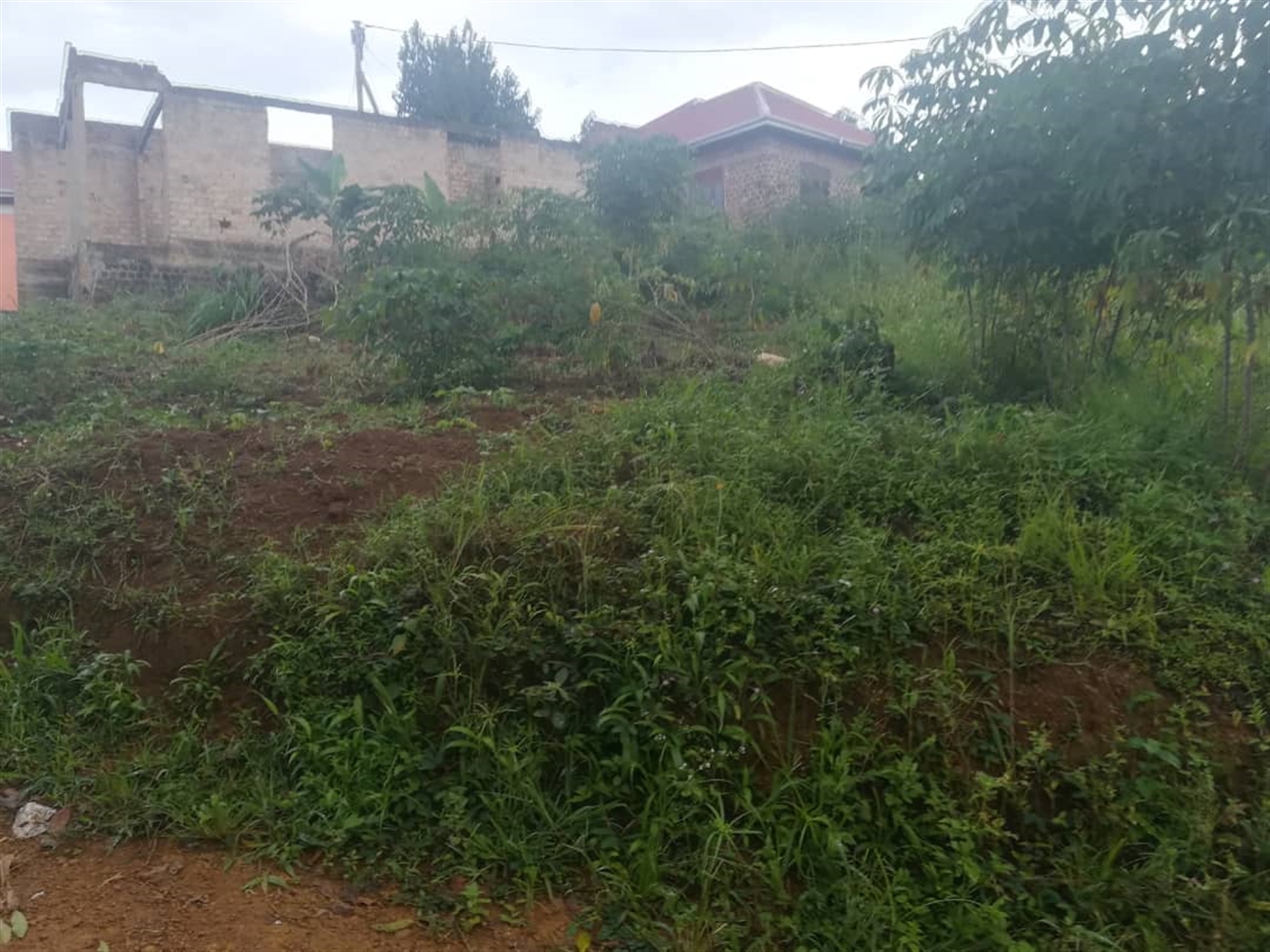 Residential Land for sale in Namubiru Mukono