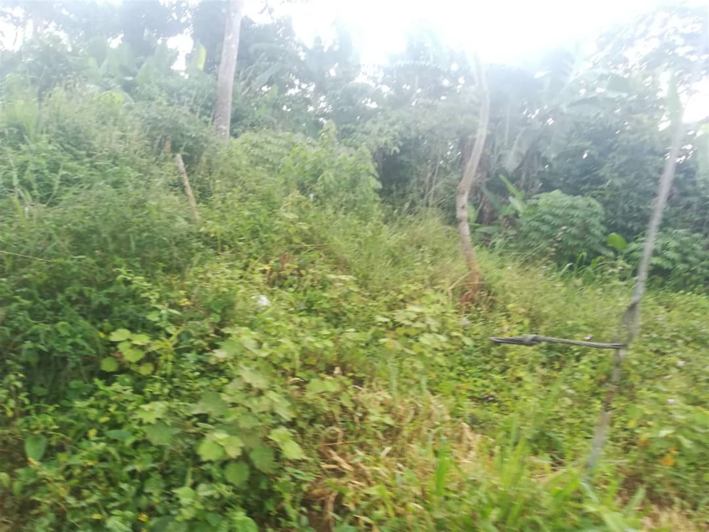 Residential Land for sale in Namubiru Mukono