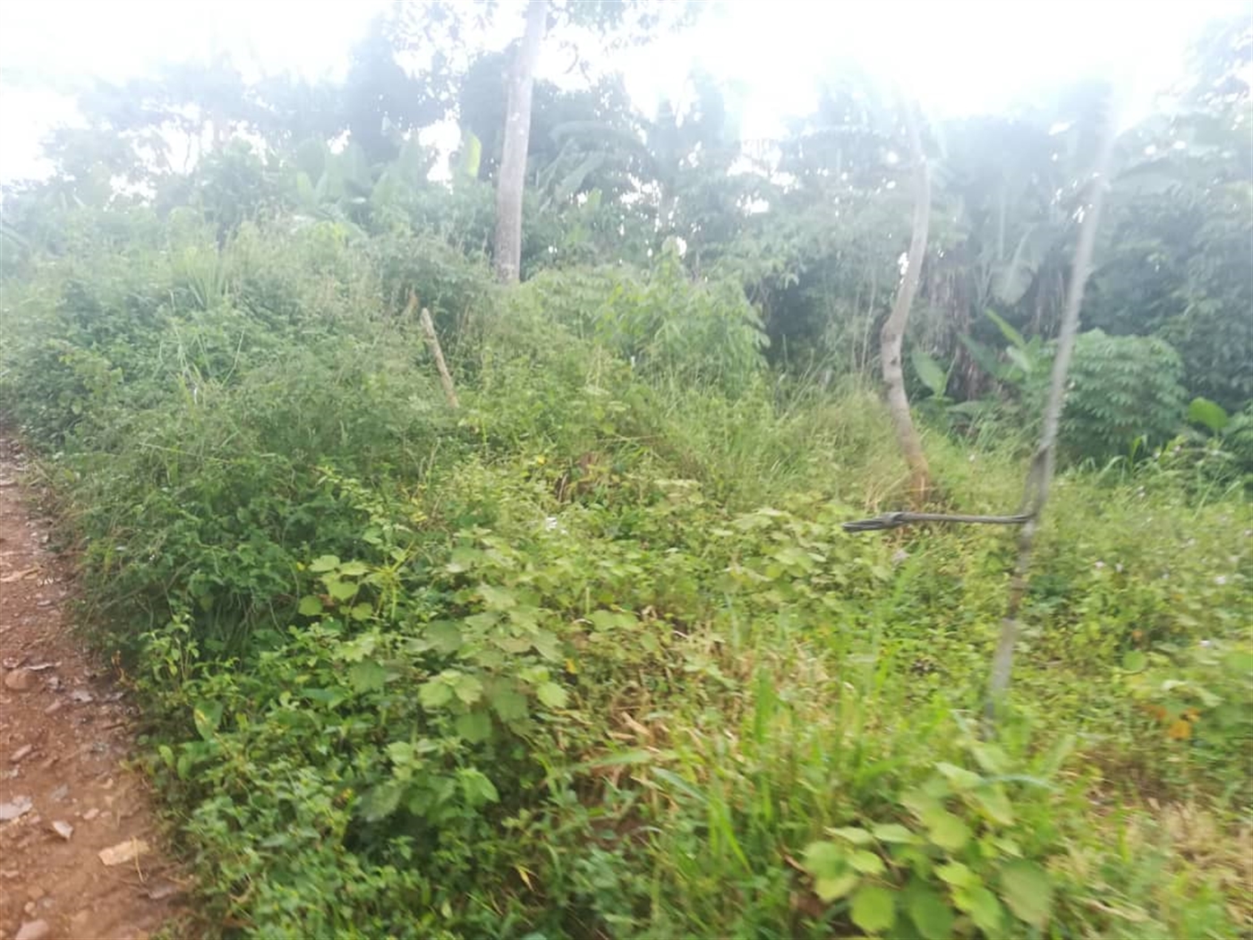 Residential Land for sale in Namubiru Mukono