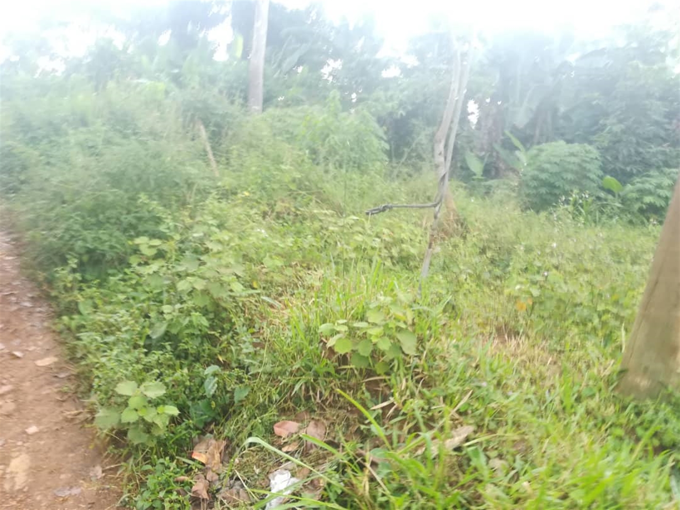 Residential Land for sale in Namubiru Mukono