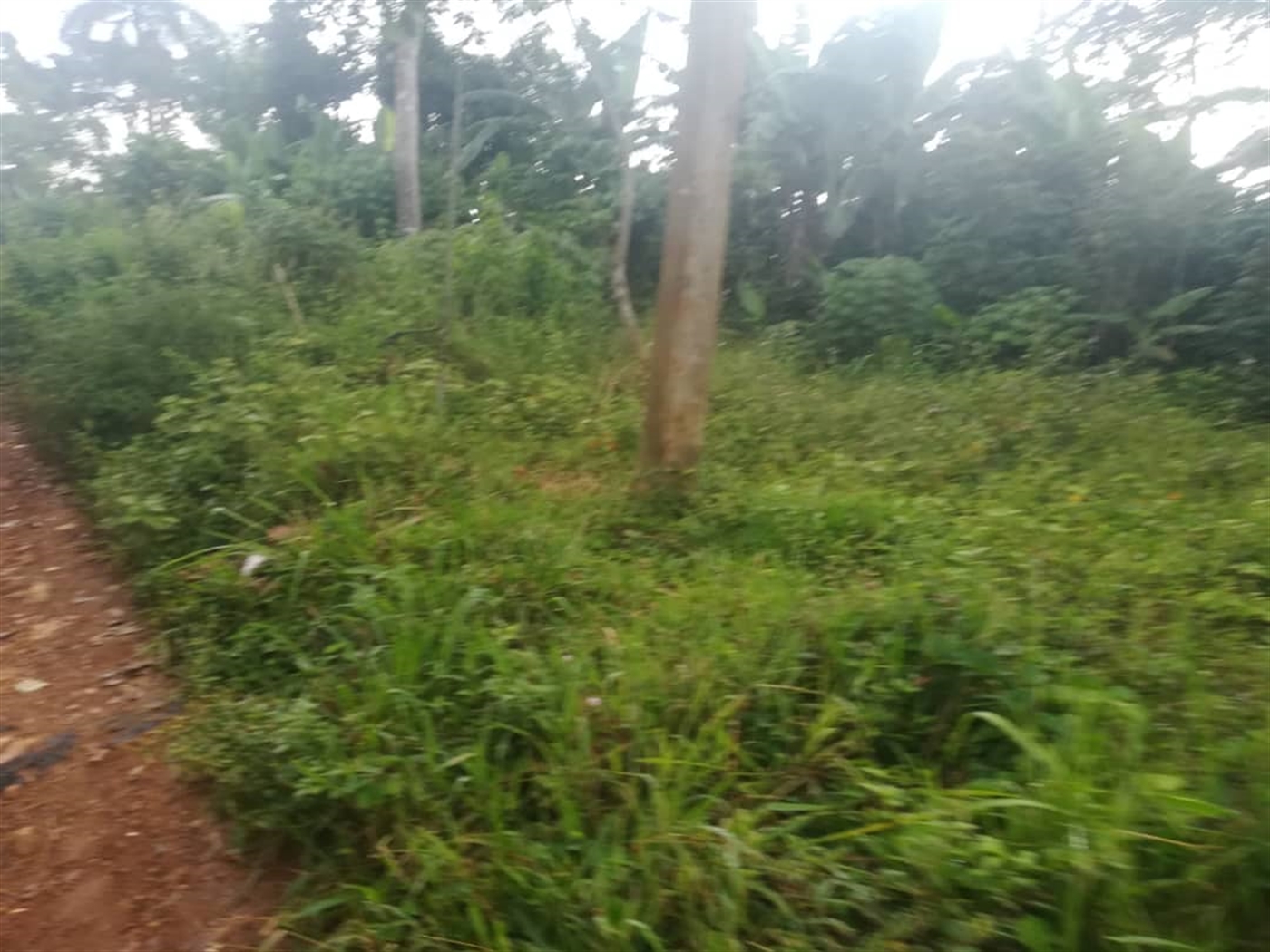 Residential Land for sale in Namubiru Mukono