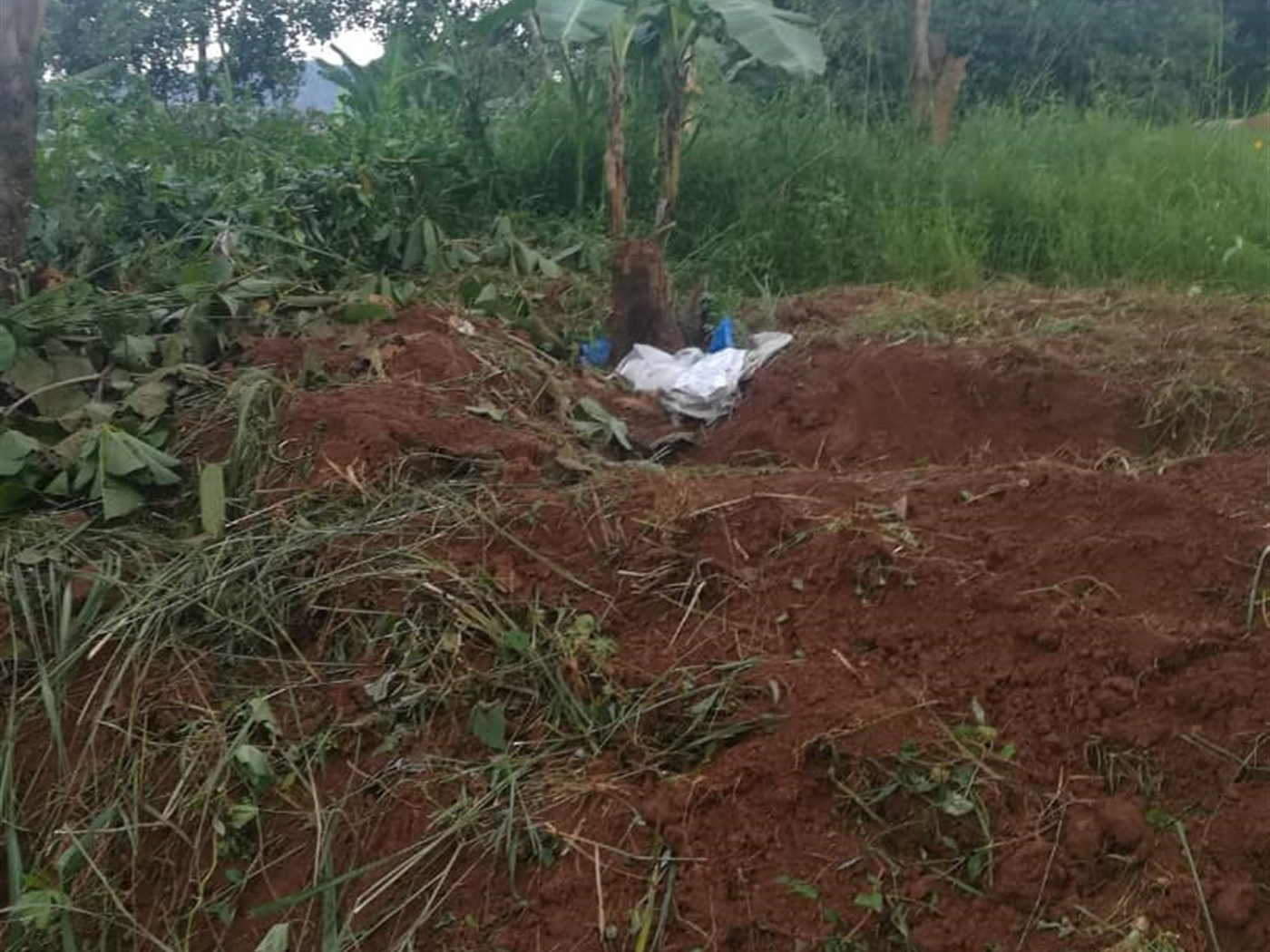 Residential Land for sale in Namubiru Mukono