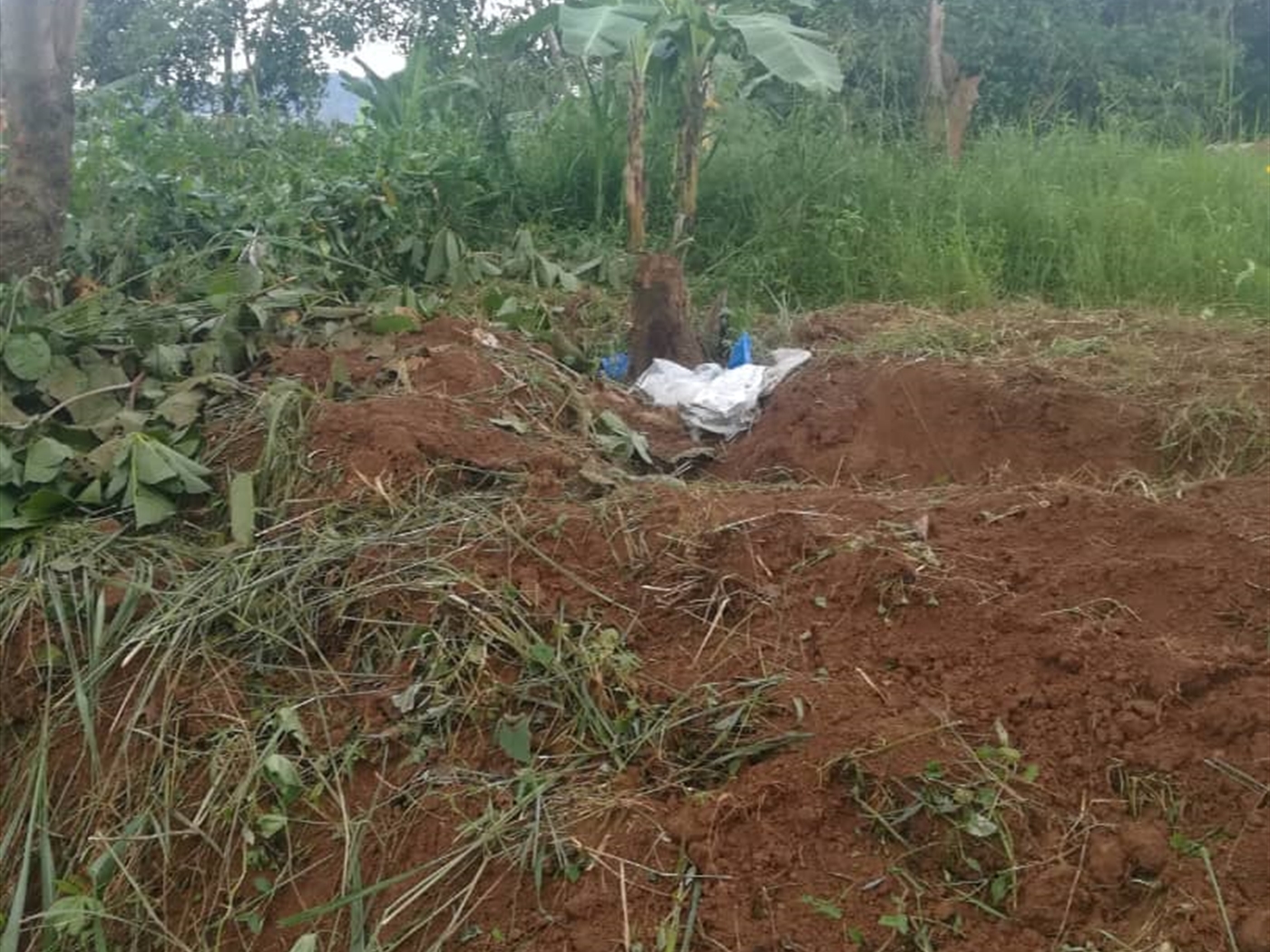 Residential Land for sale in Namubiru Mukono