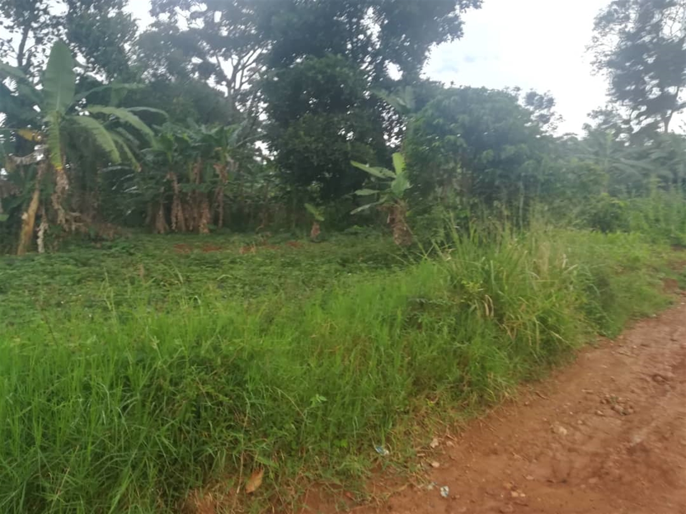 Residential Land for sale in Namubiru Mukono