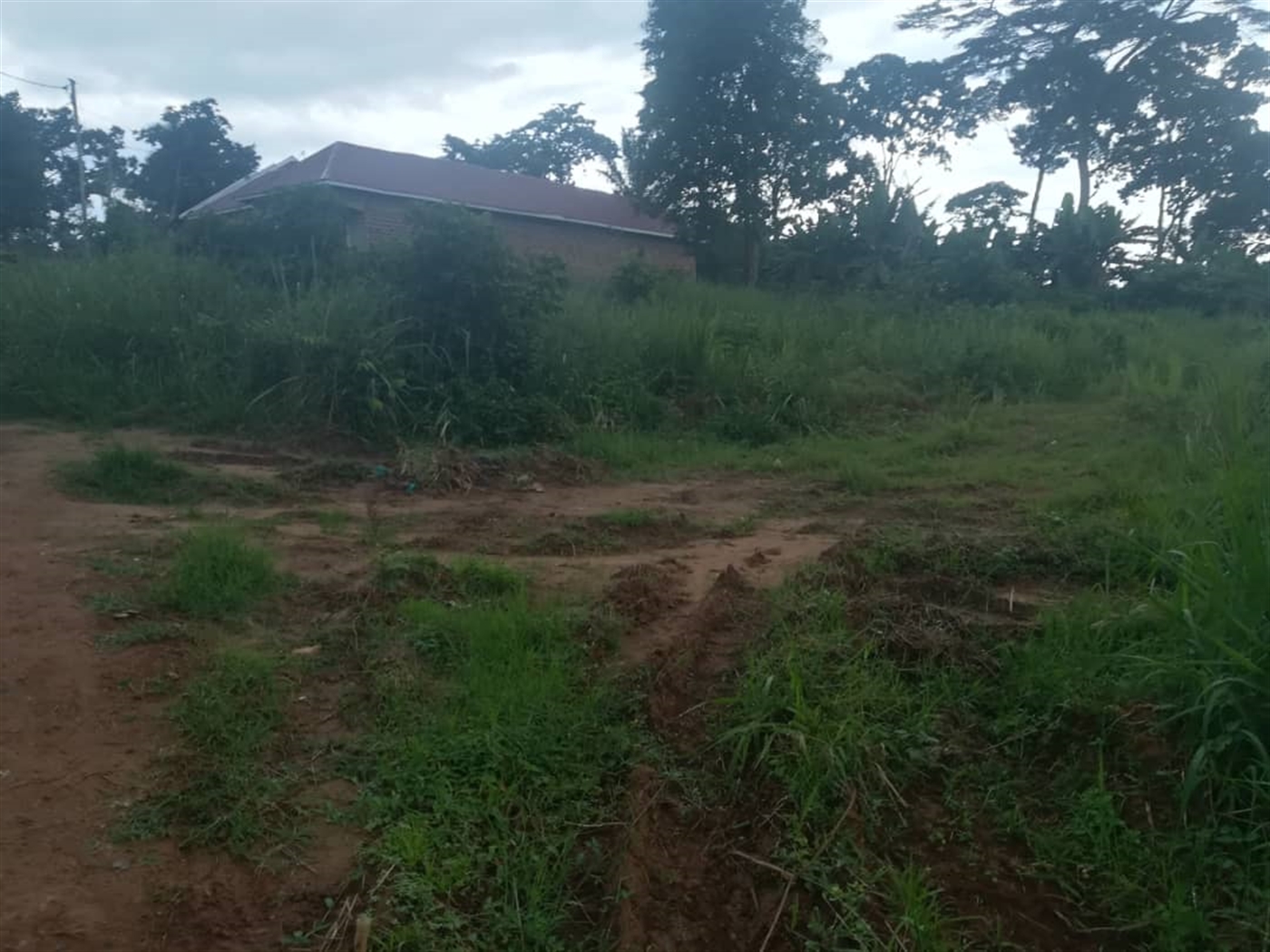 Residential Land for sale in Namubiru Mukono