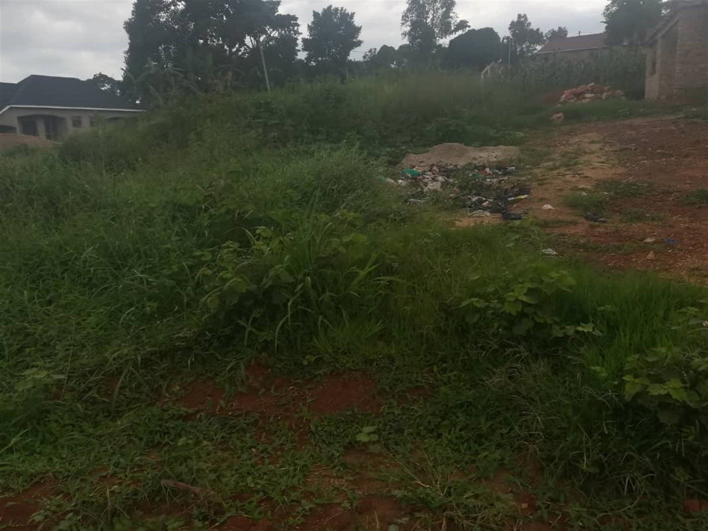 Residential Land for sale in Namubiru Mukono