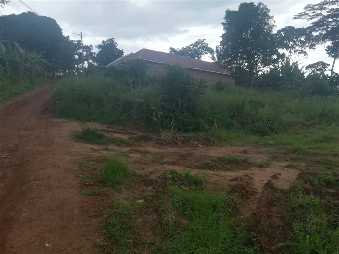 Residential Land for sale in Namubiru Mukono