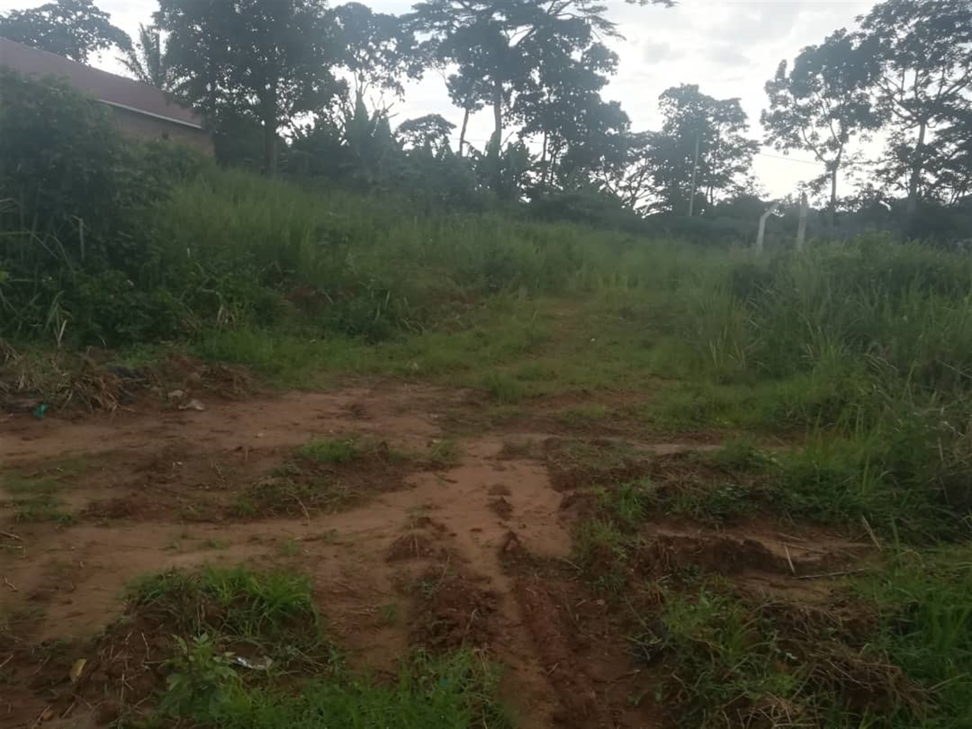 Residential Land for sale in Namubiru Mukono