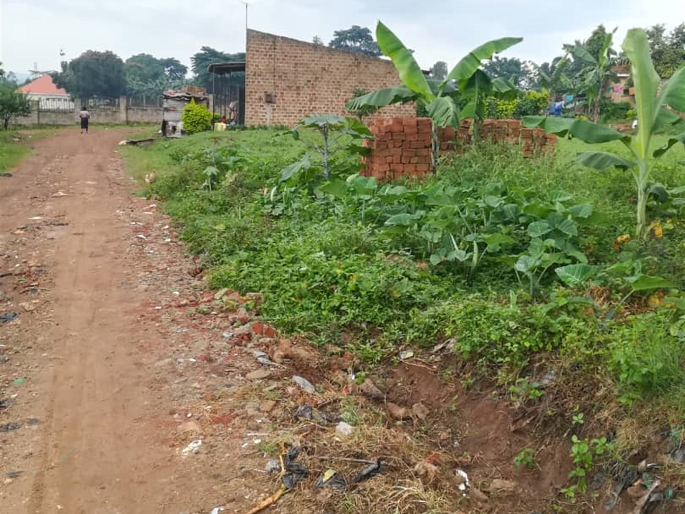 Residential Land for sale in Namubiru Mukono