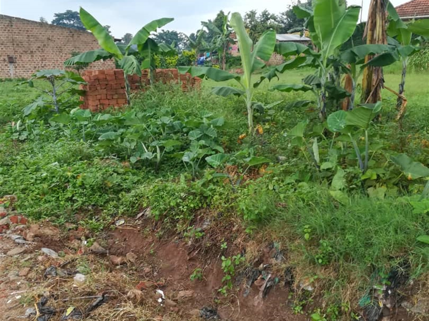 Residential Land for sale in Namubiru Mukono