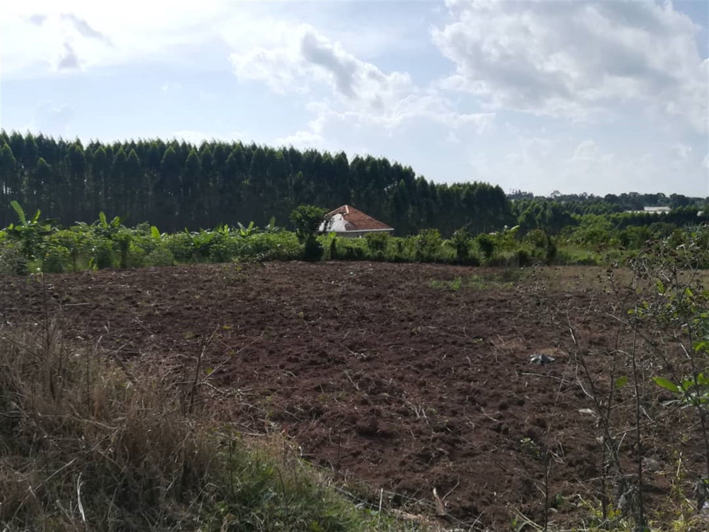 Residential Land for sale in Njerere Mukono