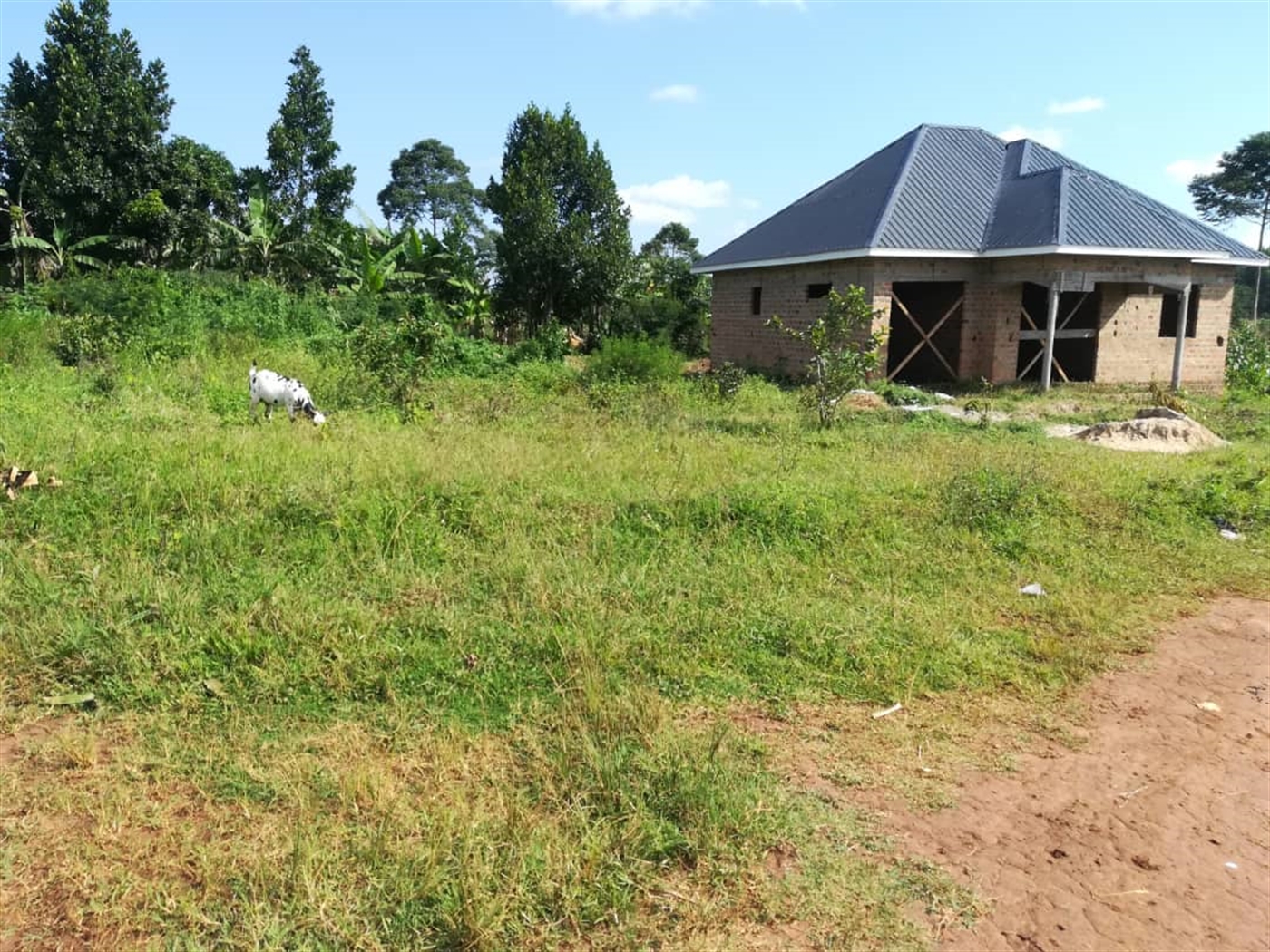 Residential Land for sale in Njerere Mukono