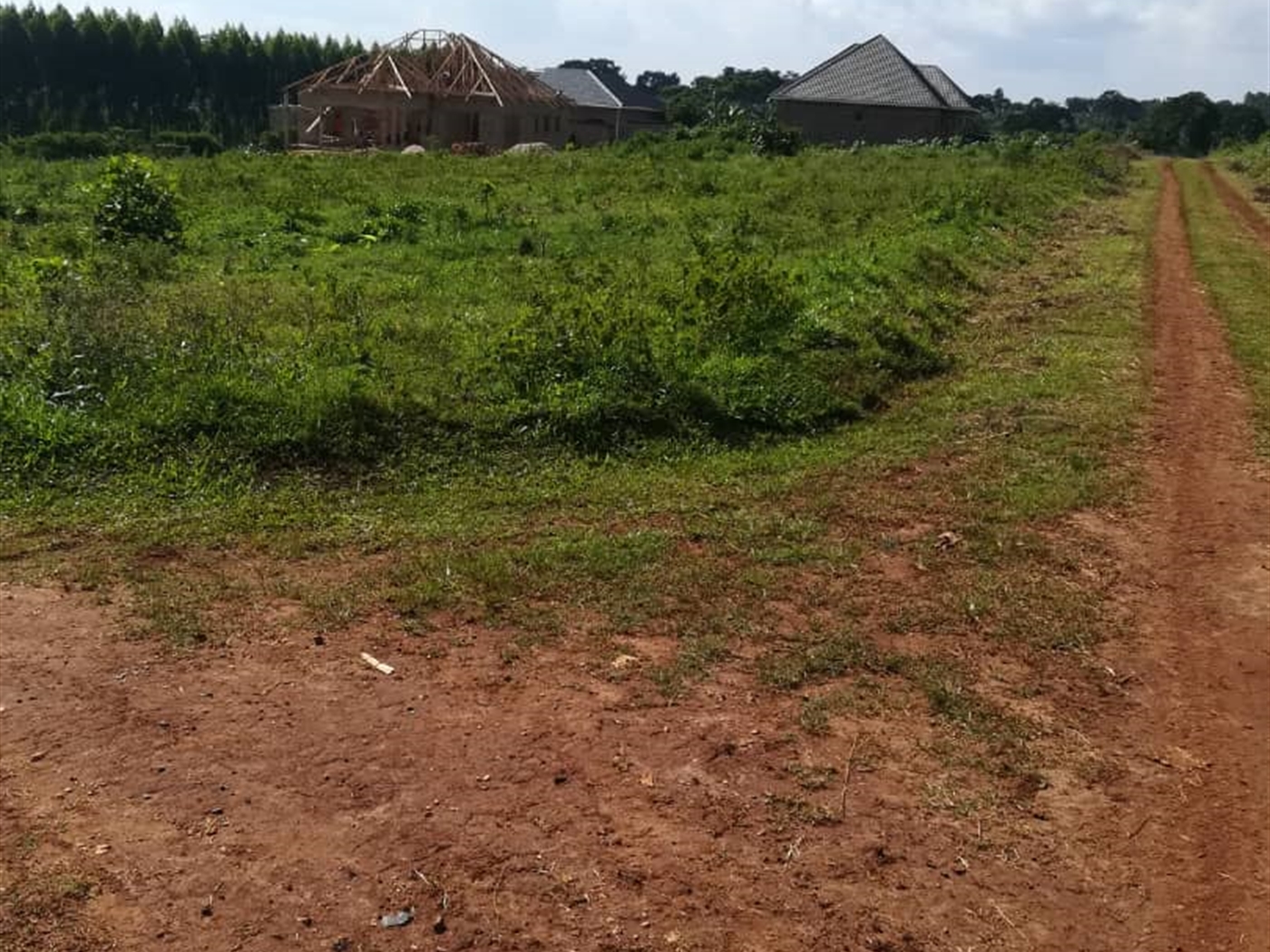 Residential Land for sale in Njerere Mukono