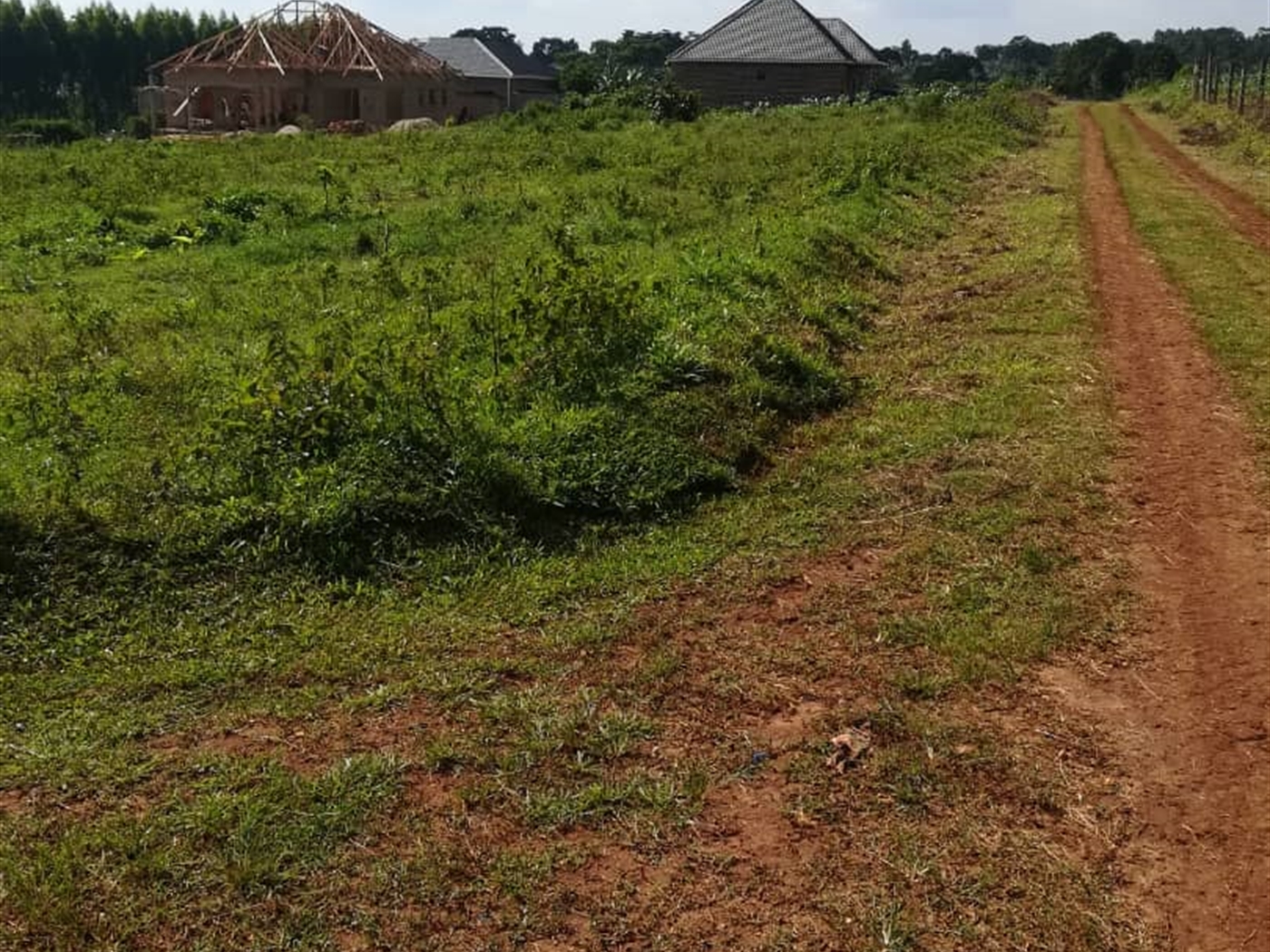 Residential Land for sale in Njerere Mukono