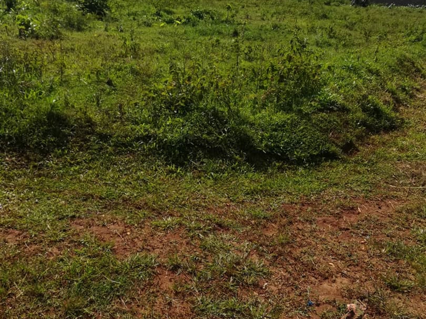 Residential Land for sale in Njerere Mukono