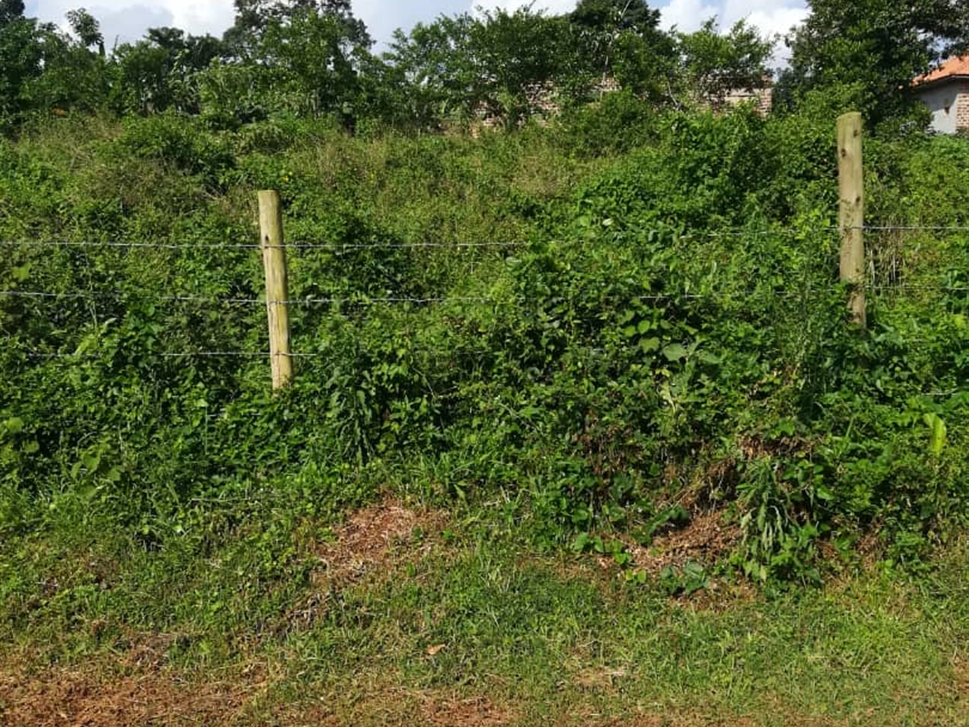 Residential Land for sale in Njerere Mukono