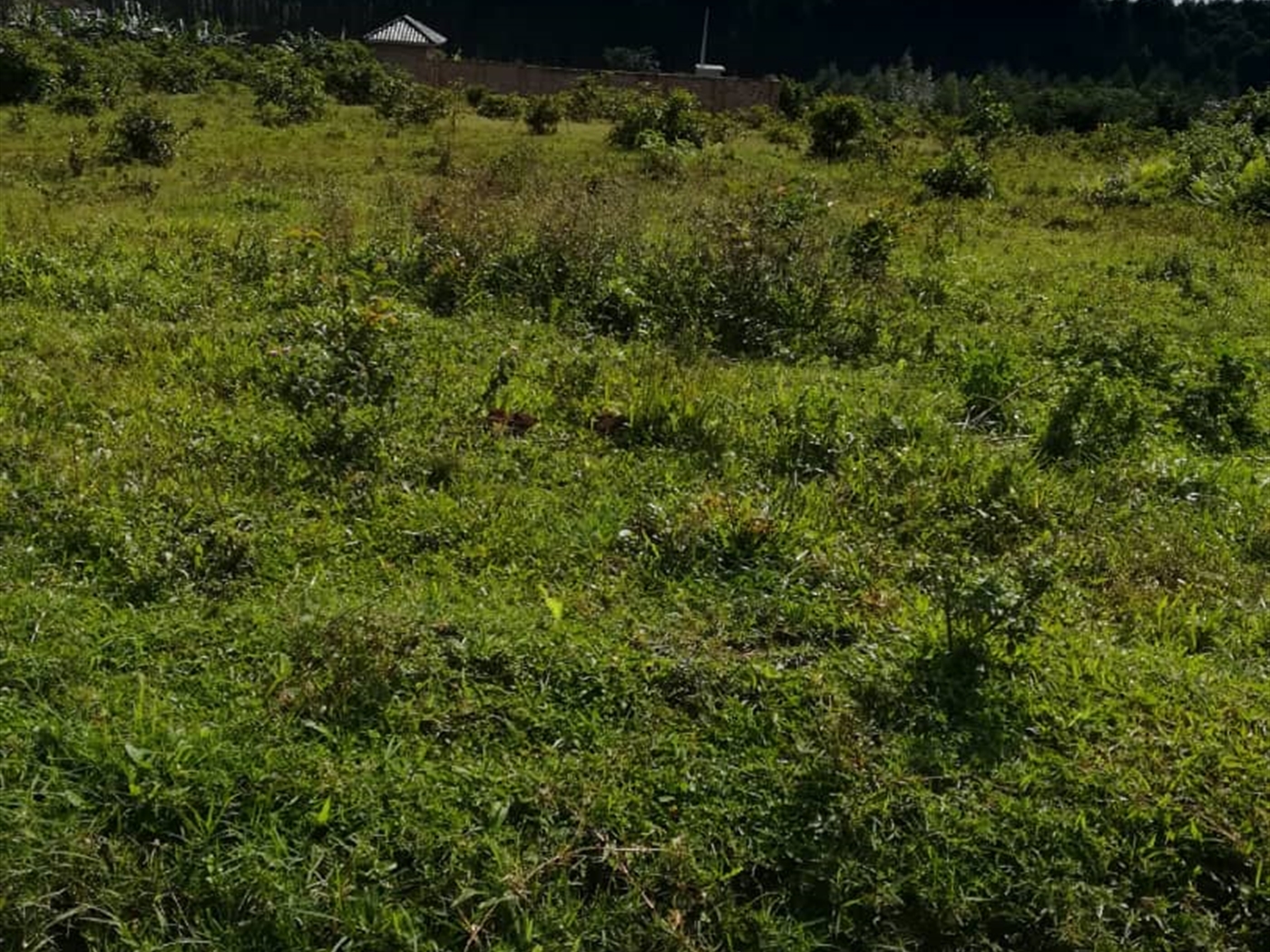 Residential Land for sale in Njerere Mukono