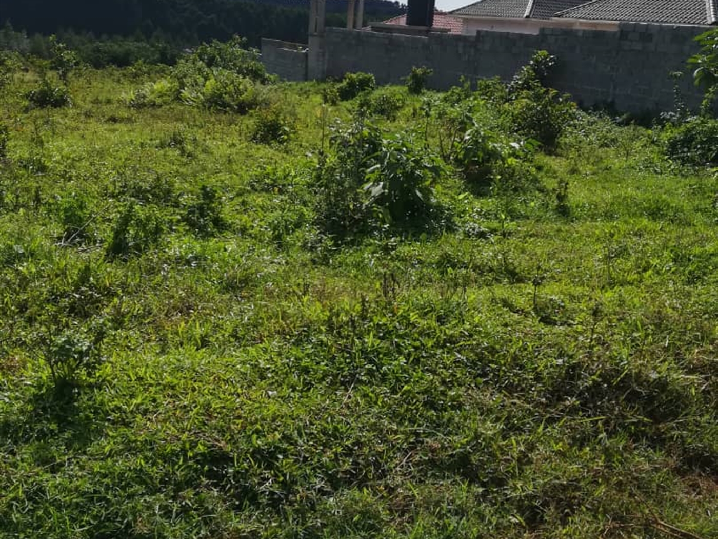 Residential Land for sale in Njerere Mukono