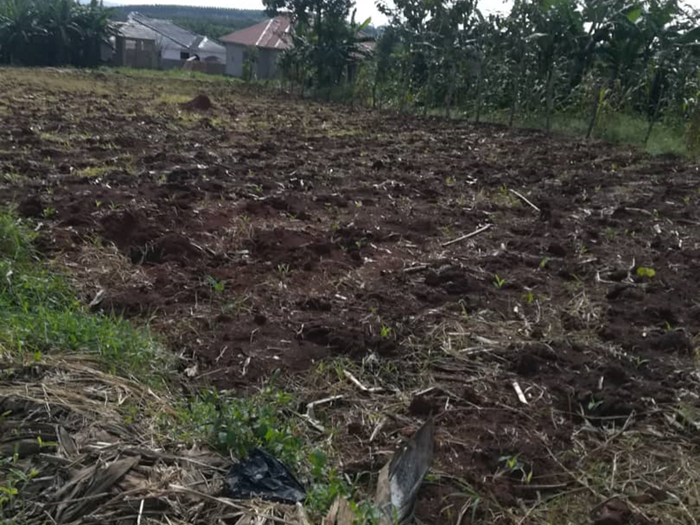 Residential Land for sale in Njerere Mukono