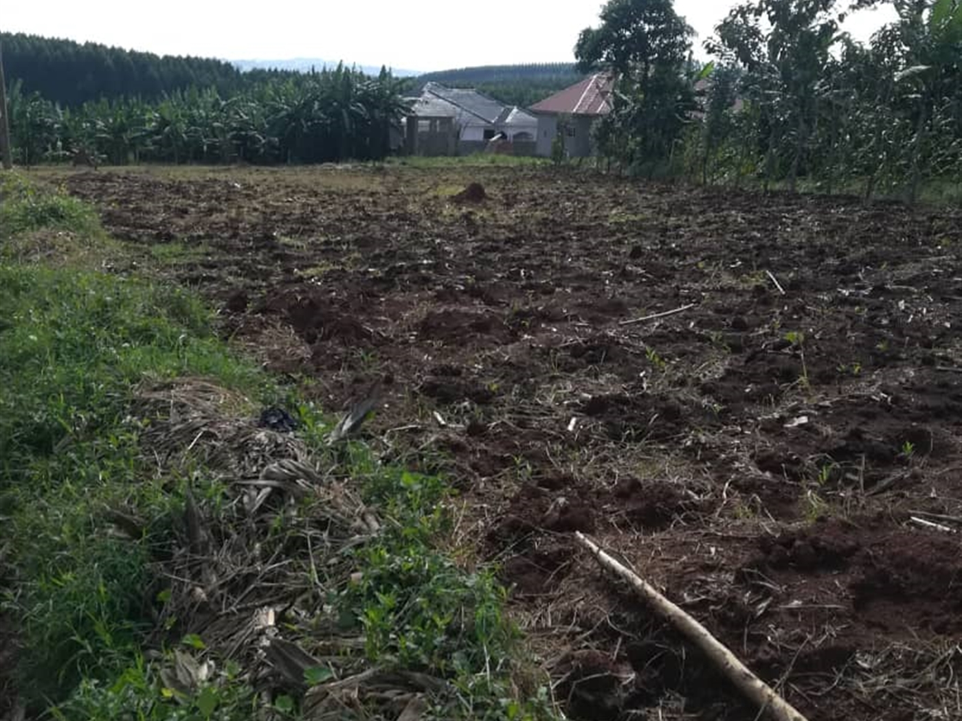 Residential Land for sale in Njerere Mukono