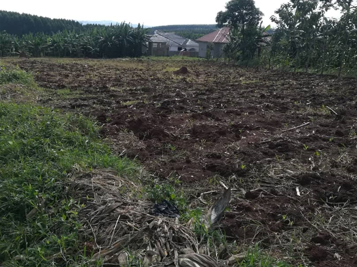 Residential Land for sale in Njerere Mukono