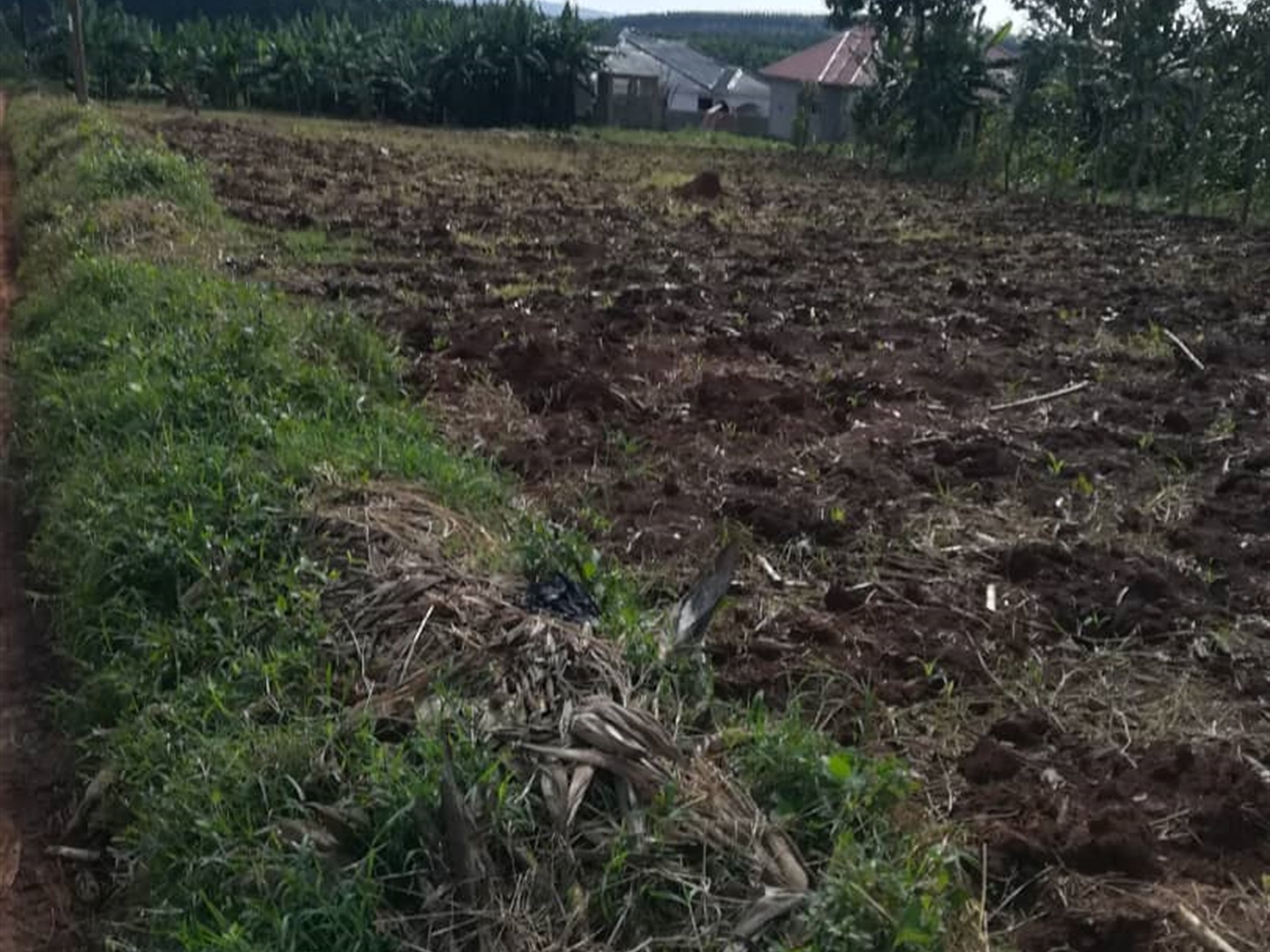 Residential Land for sale in Njerere Mukono